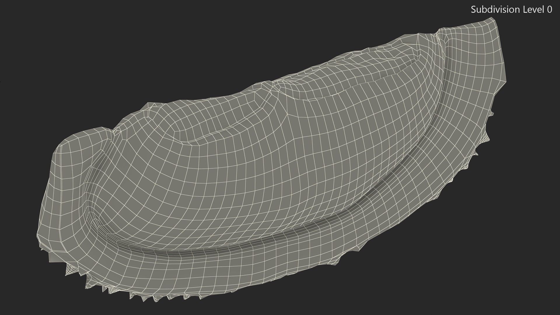 3D model Fresh Riped Durian Fruit Slice