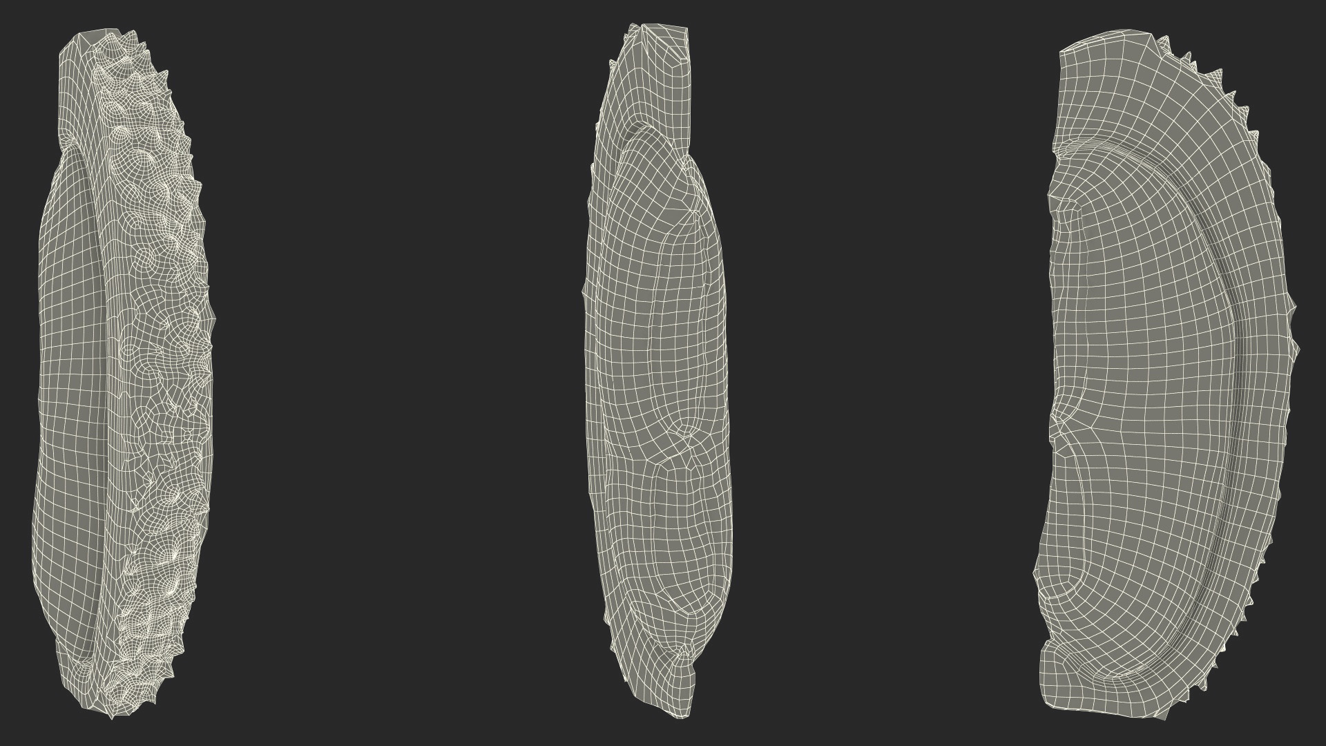 3D model Fresh Riped Durian Fruit Slice