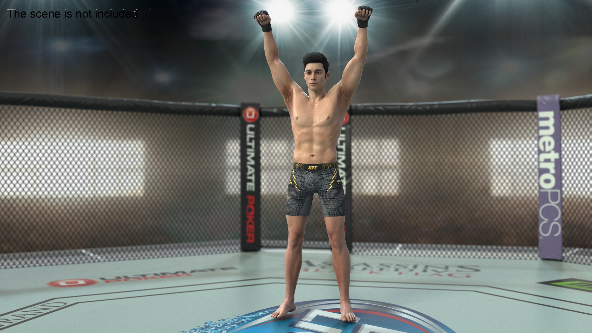 UFC MMA Fighter in Victory Pose Sweaty Fur 3D