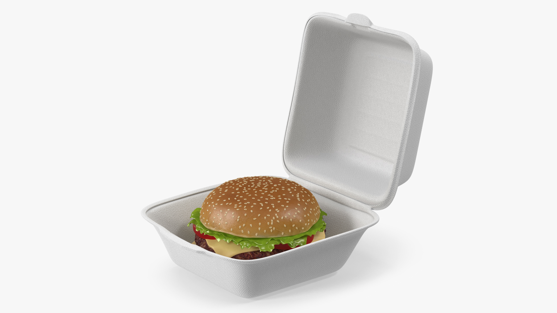 3D Food Box with Hamburger model