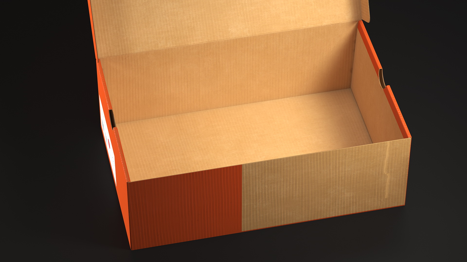 3D model Carton Shoe Box Open