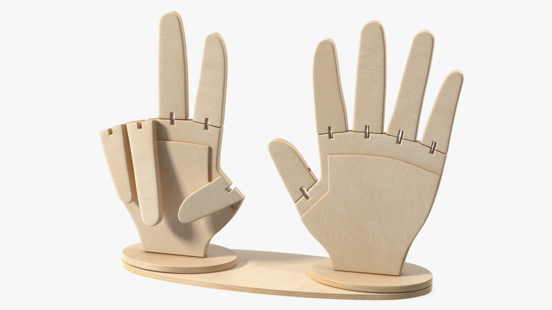 Counting Hands 3D model