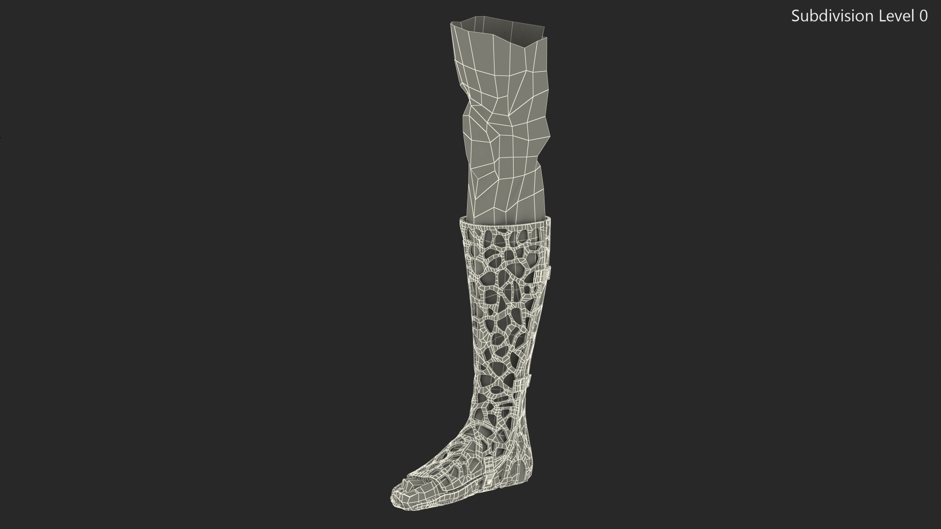 3D 3D-Printed Orthopedic Cast On Leg model