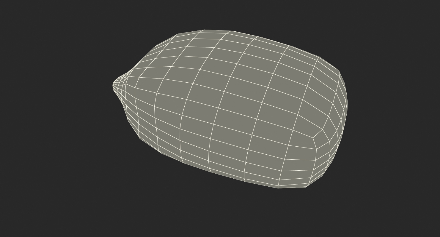 Corn Seed 3D model