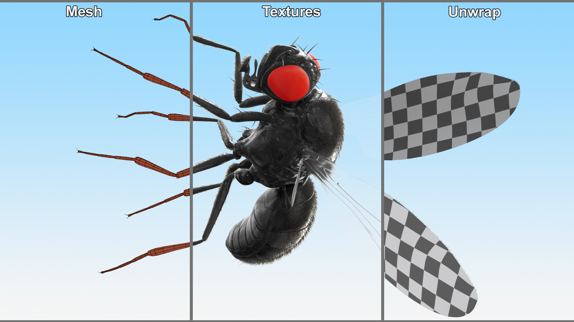 3D Drosophila Melanogaster Dead Black Fur model