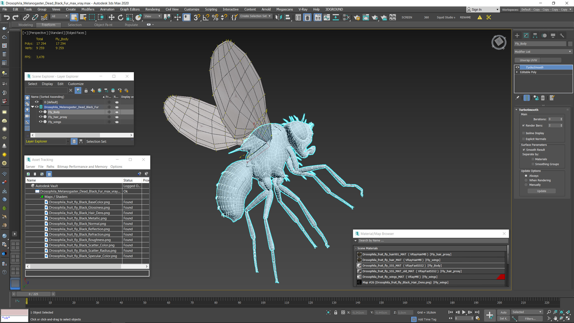 3D Drosophila Melanogaster Dead Black Fur model