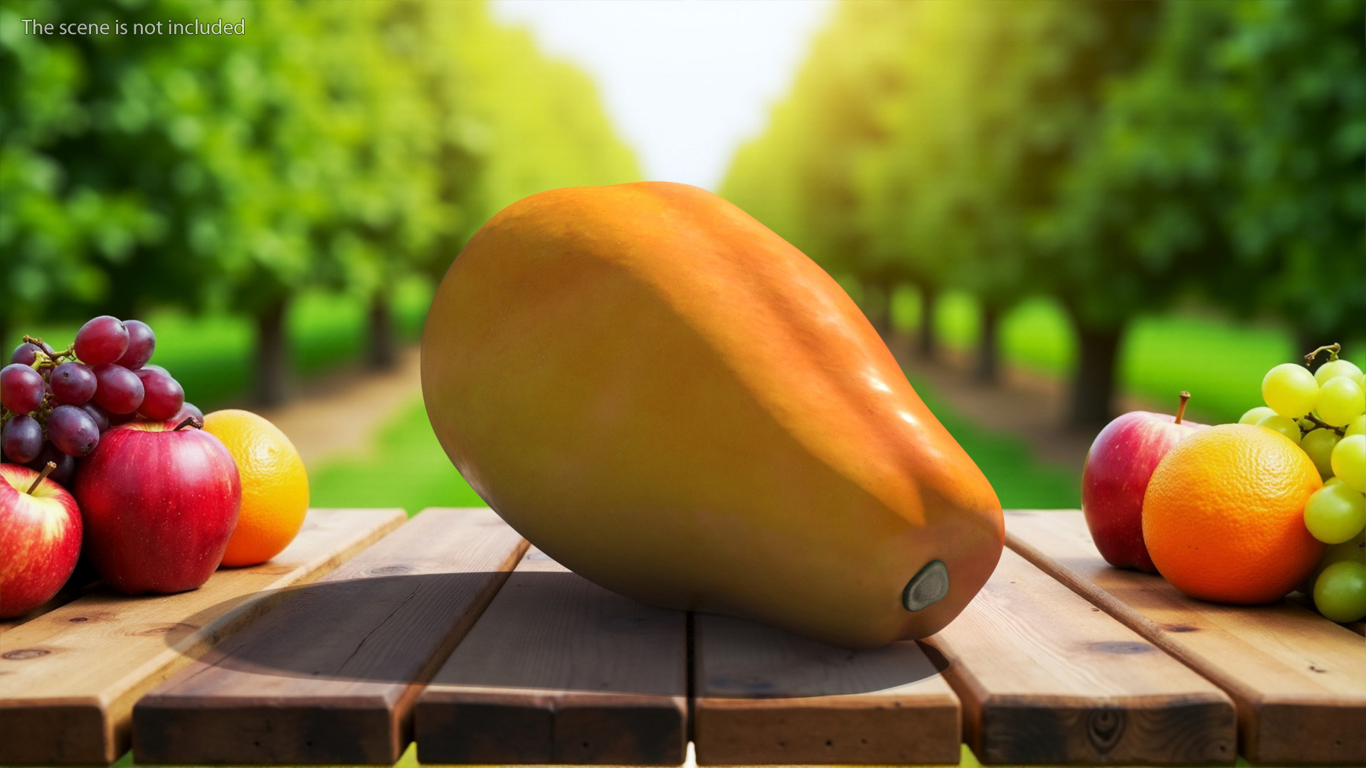 Papaya Fruit Orange 3D model