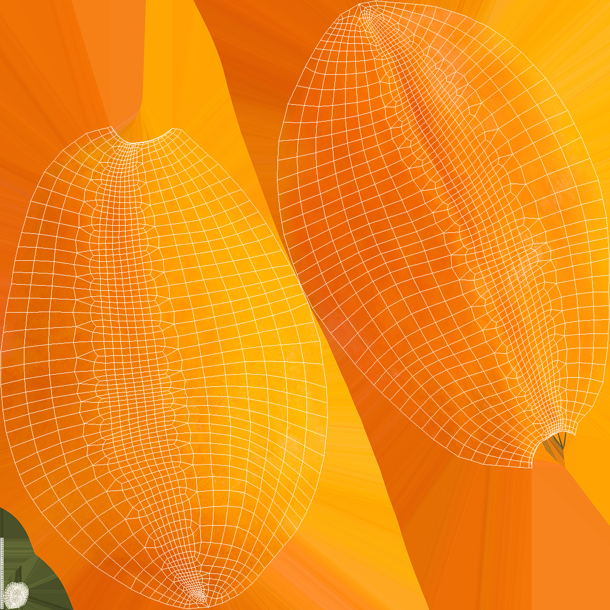 Papaya Fruit Orange 3D model