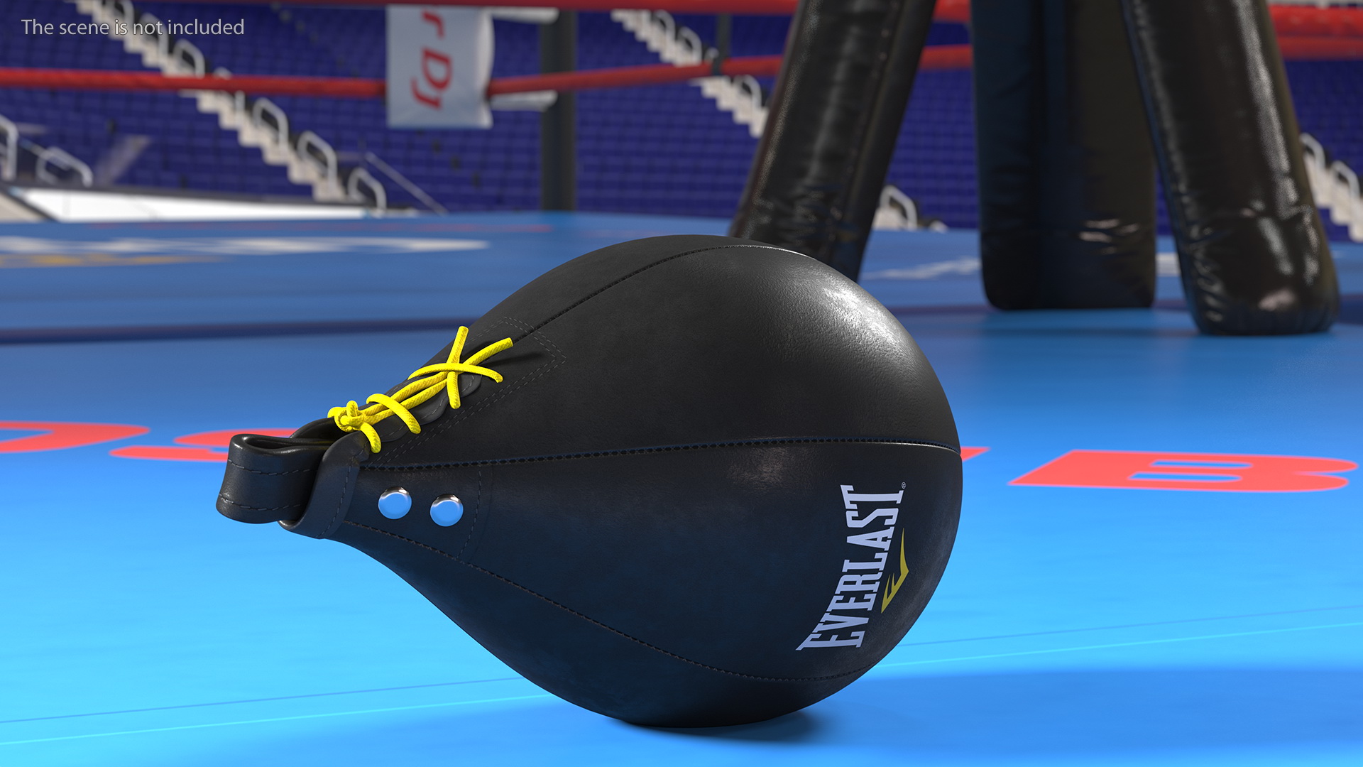 3D Everlast Leather Speed Bag