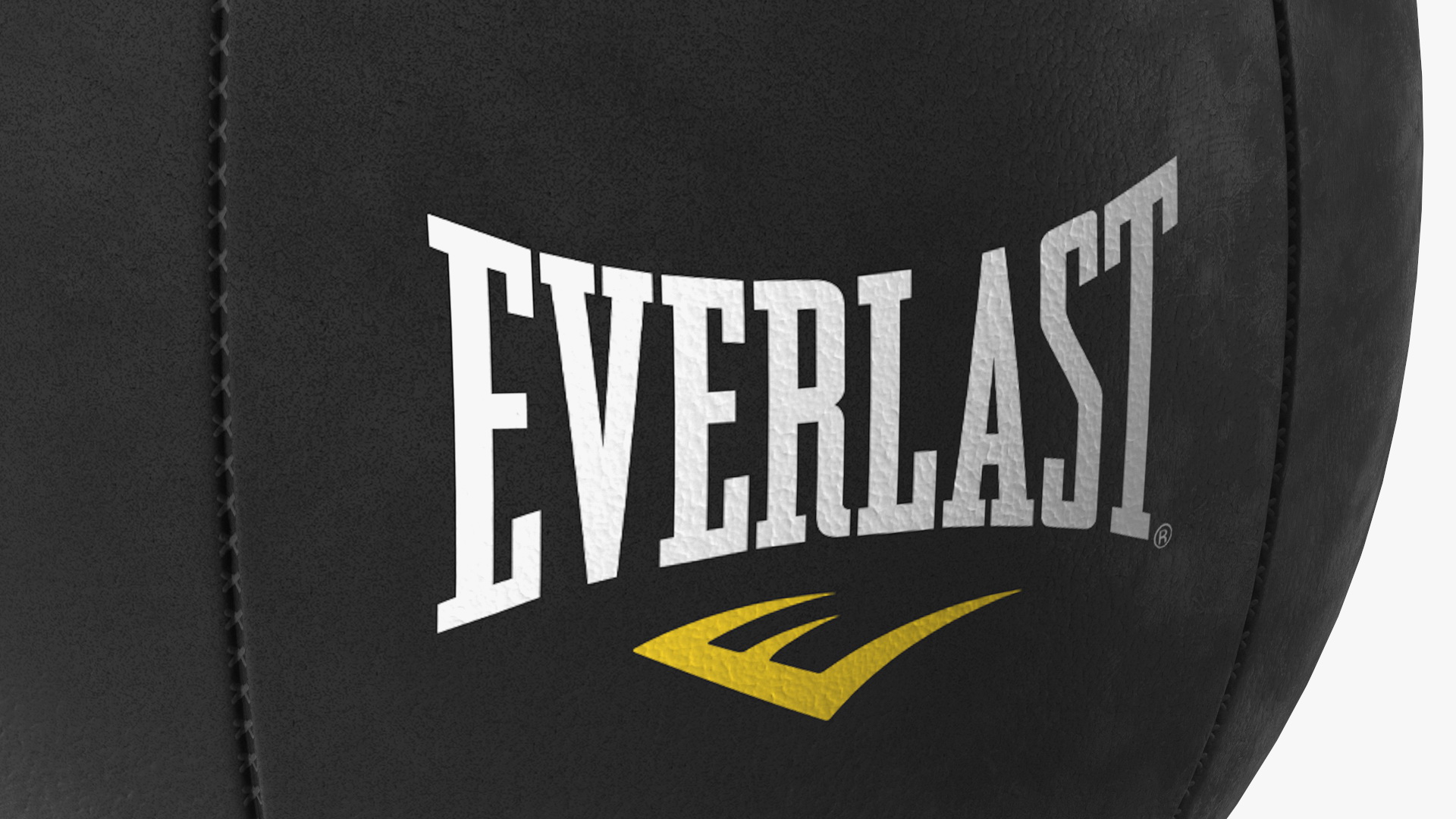 3D Everlast Leather Speed Bag