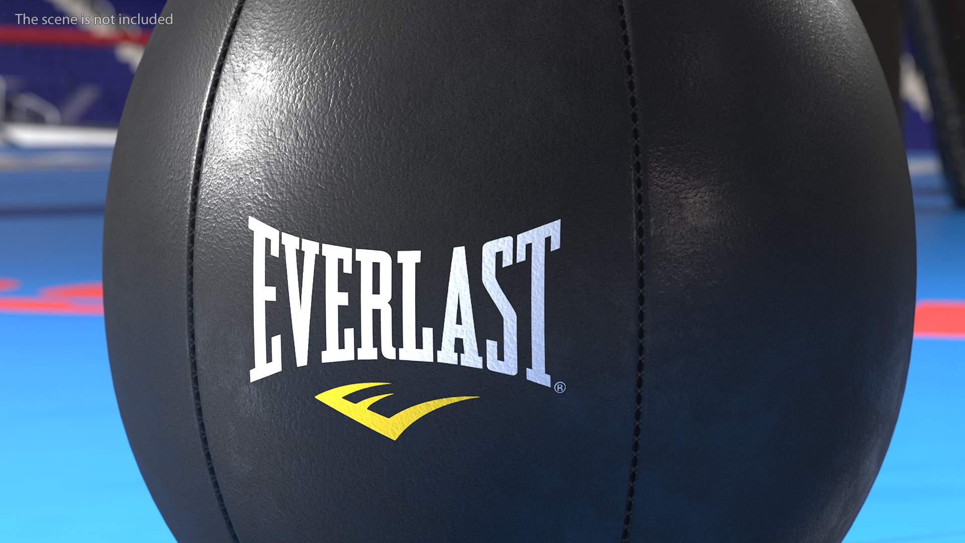 3D Everlast Leather Speed Bag