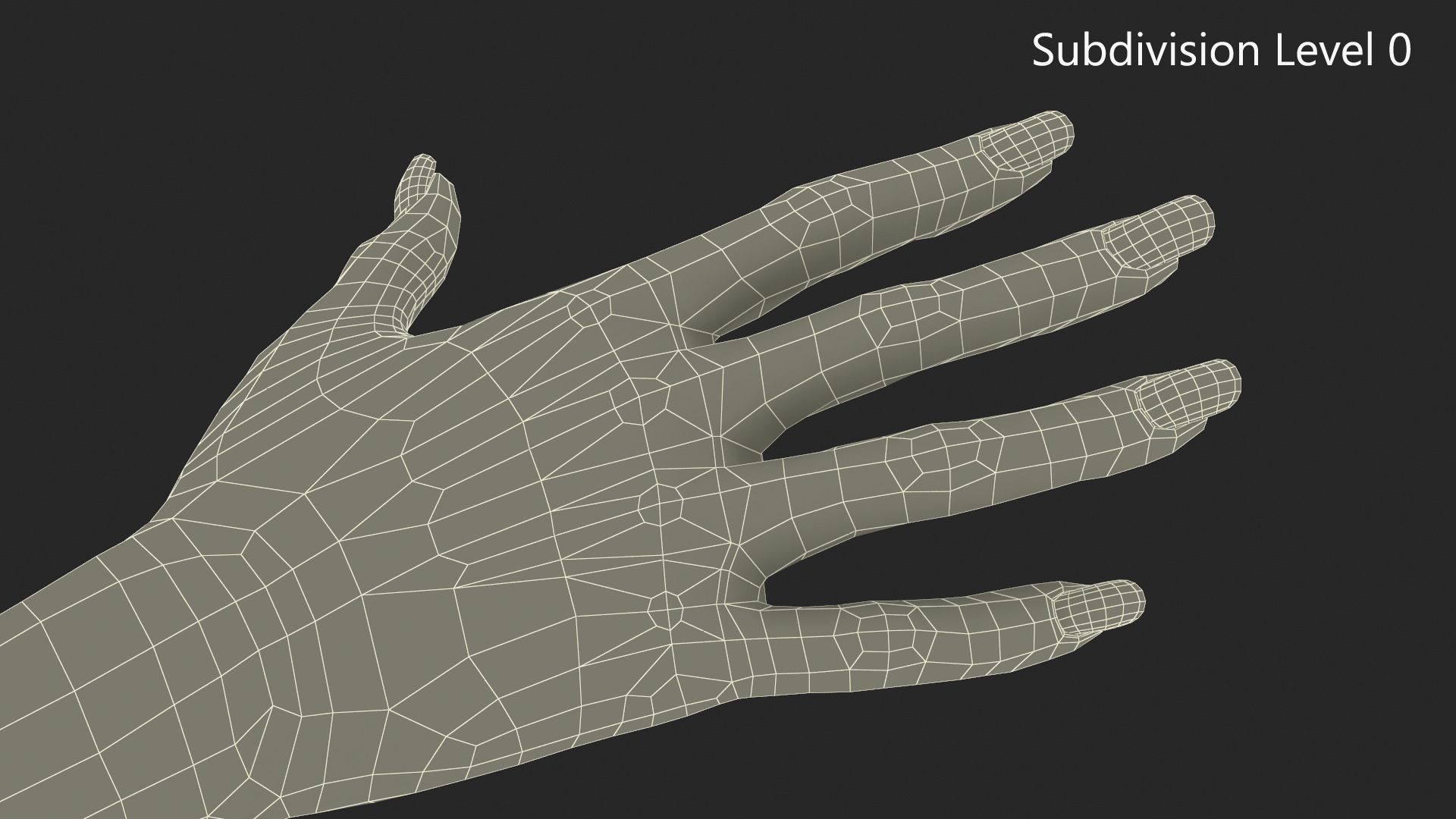 3D Female Realistic Hand Rigged model