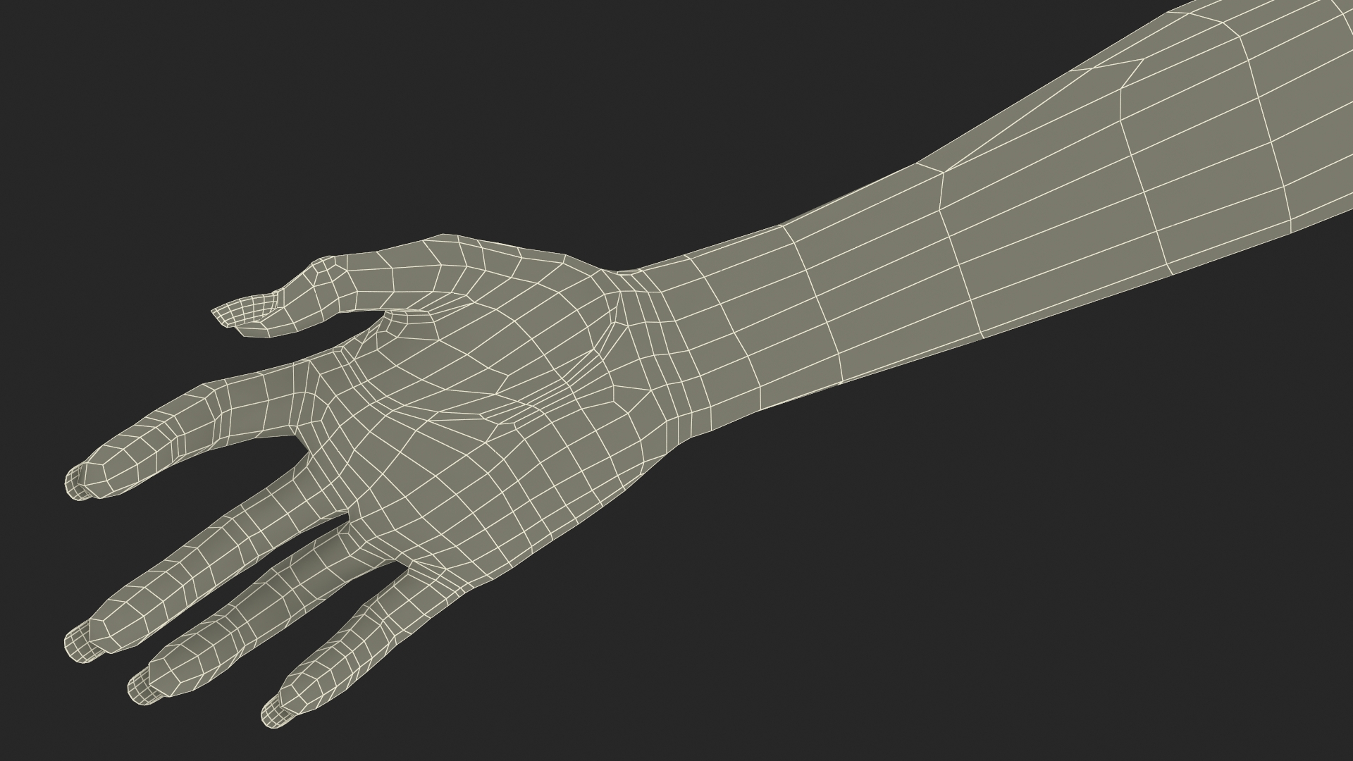 3D Female Realistic Hand Rigged model