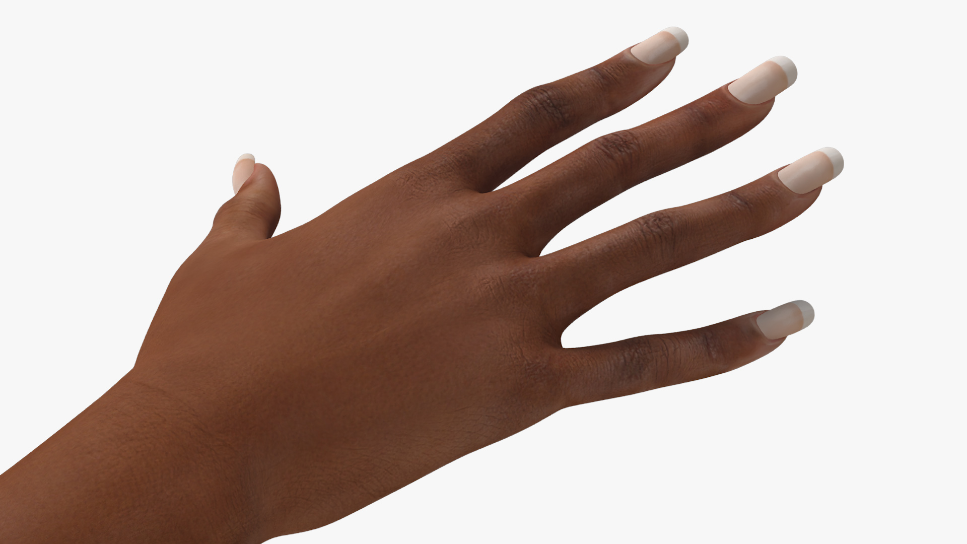 3D Female Realistic Hand Rigged model