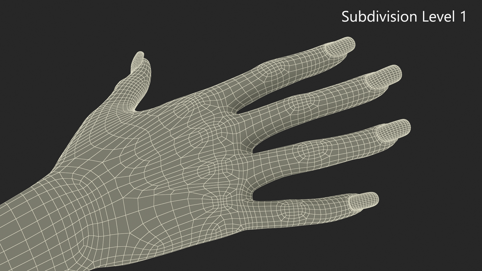 3D Female Realistic Hand Rigged model