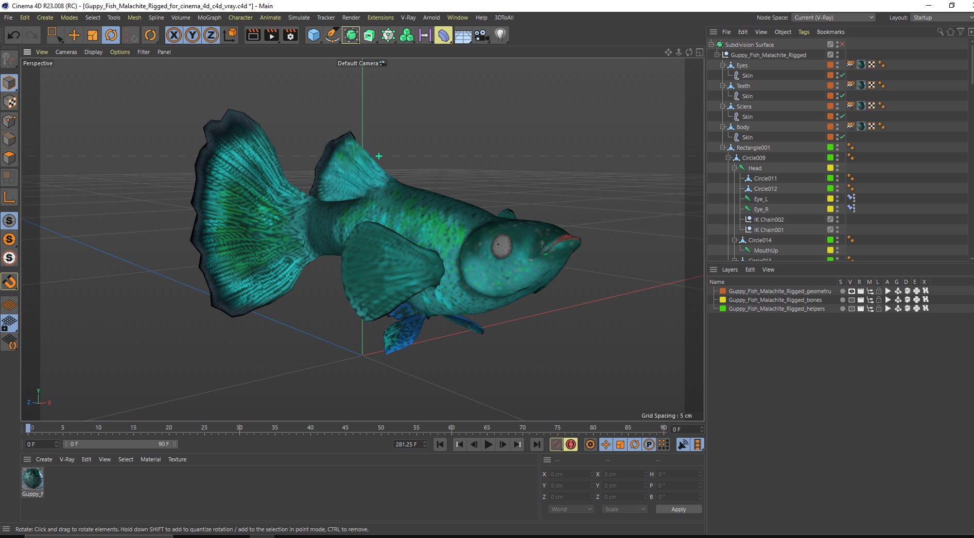 3D Guppy Fish Malachite Rigged for Cinema 4D