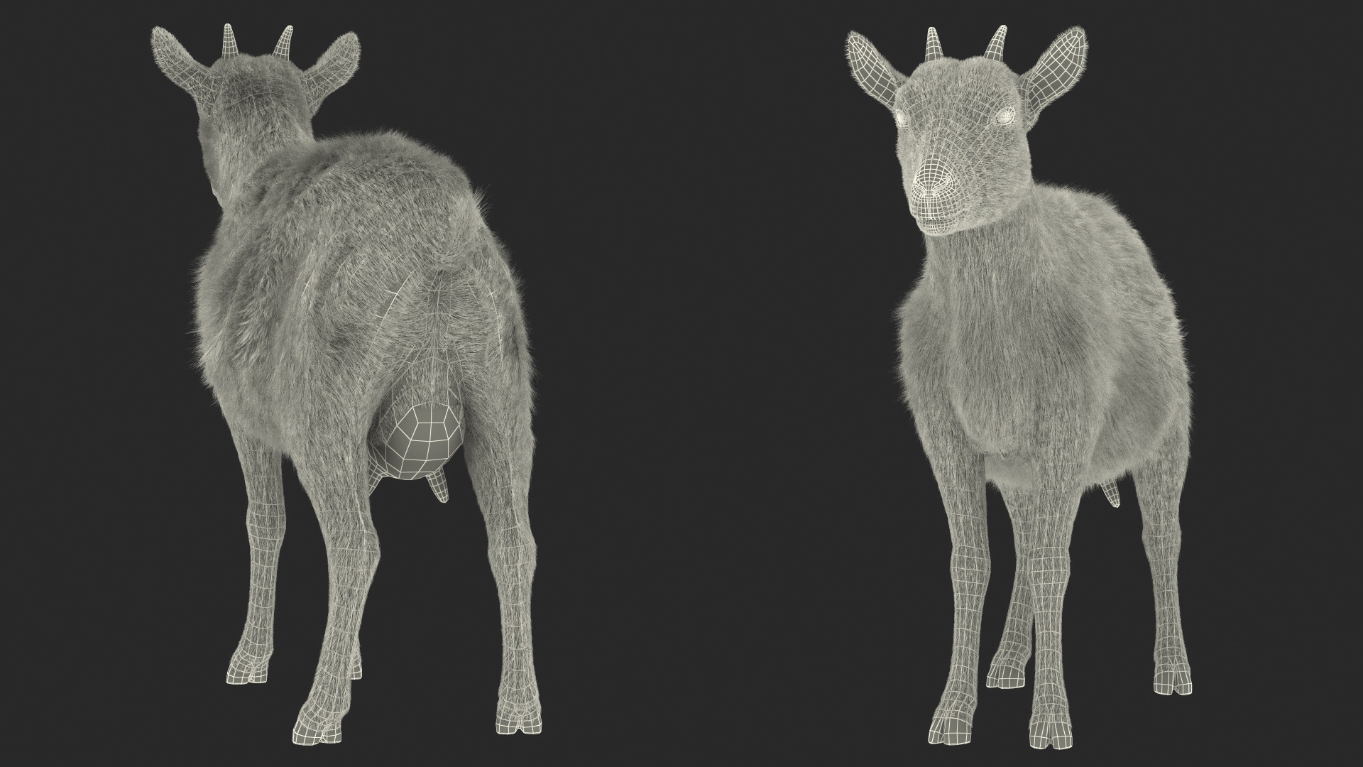 3D model Dairy Goat Brown Fur