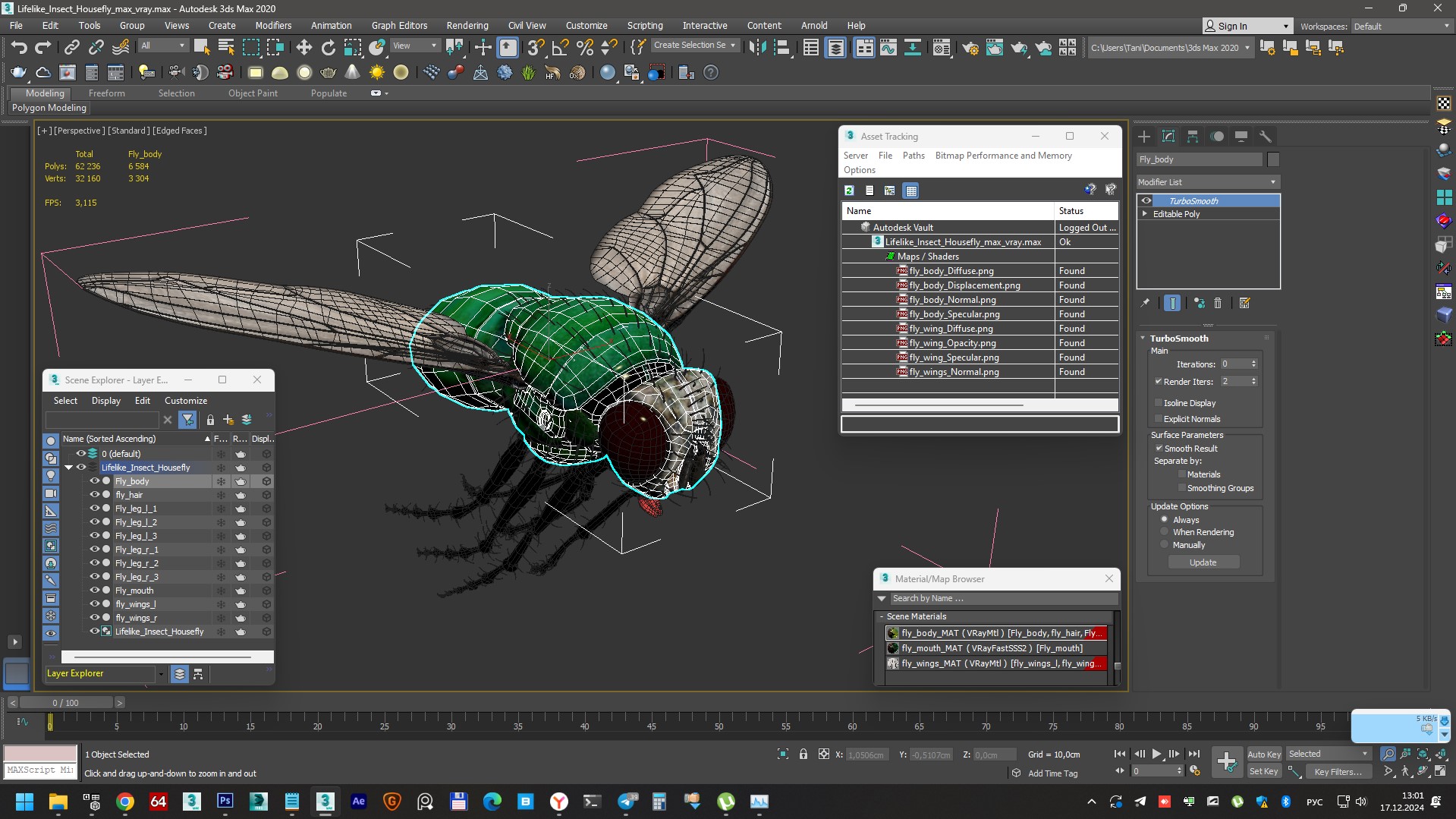 Lifelike Insect Housefly 3D model