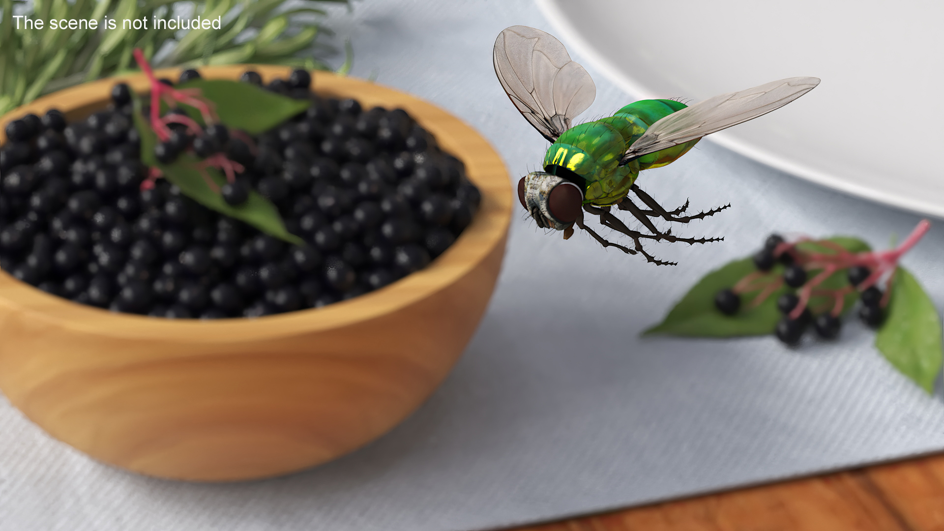 Lifelike Insect Housefly 3D model