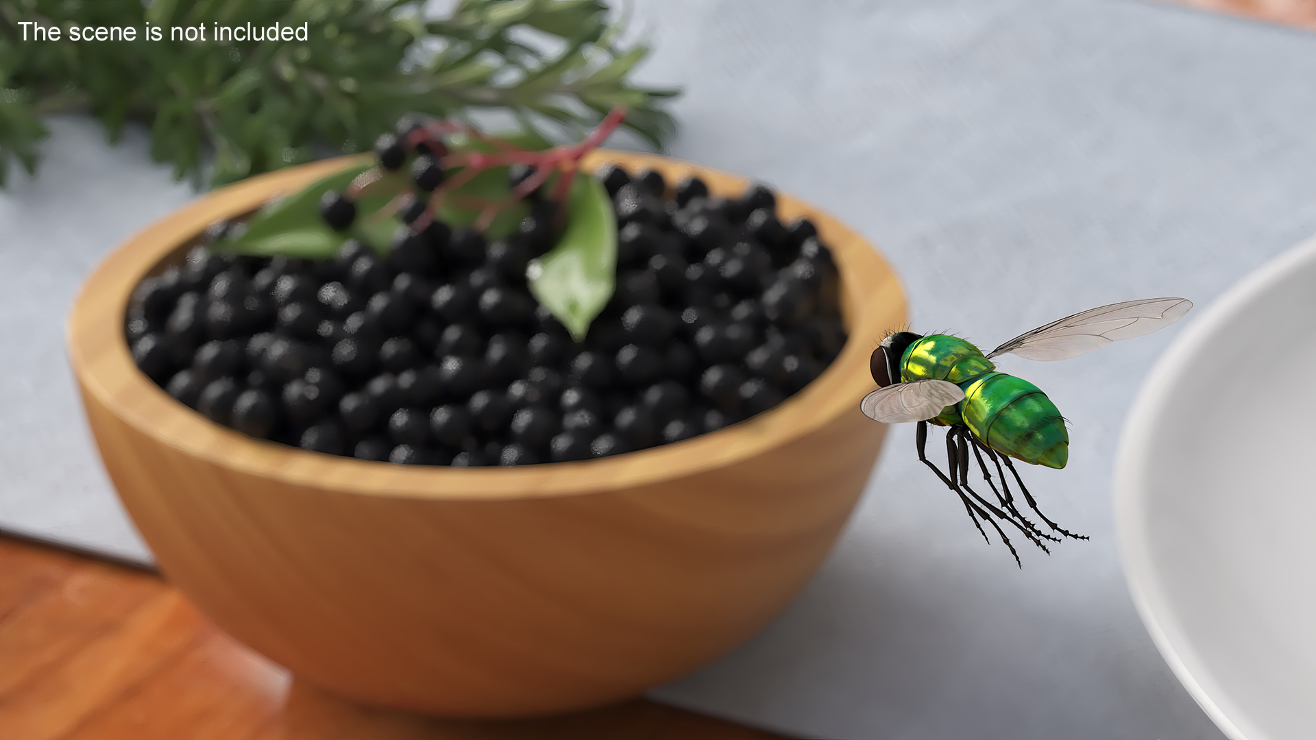 Lifelike Insect Housefly 3D model