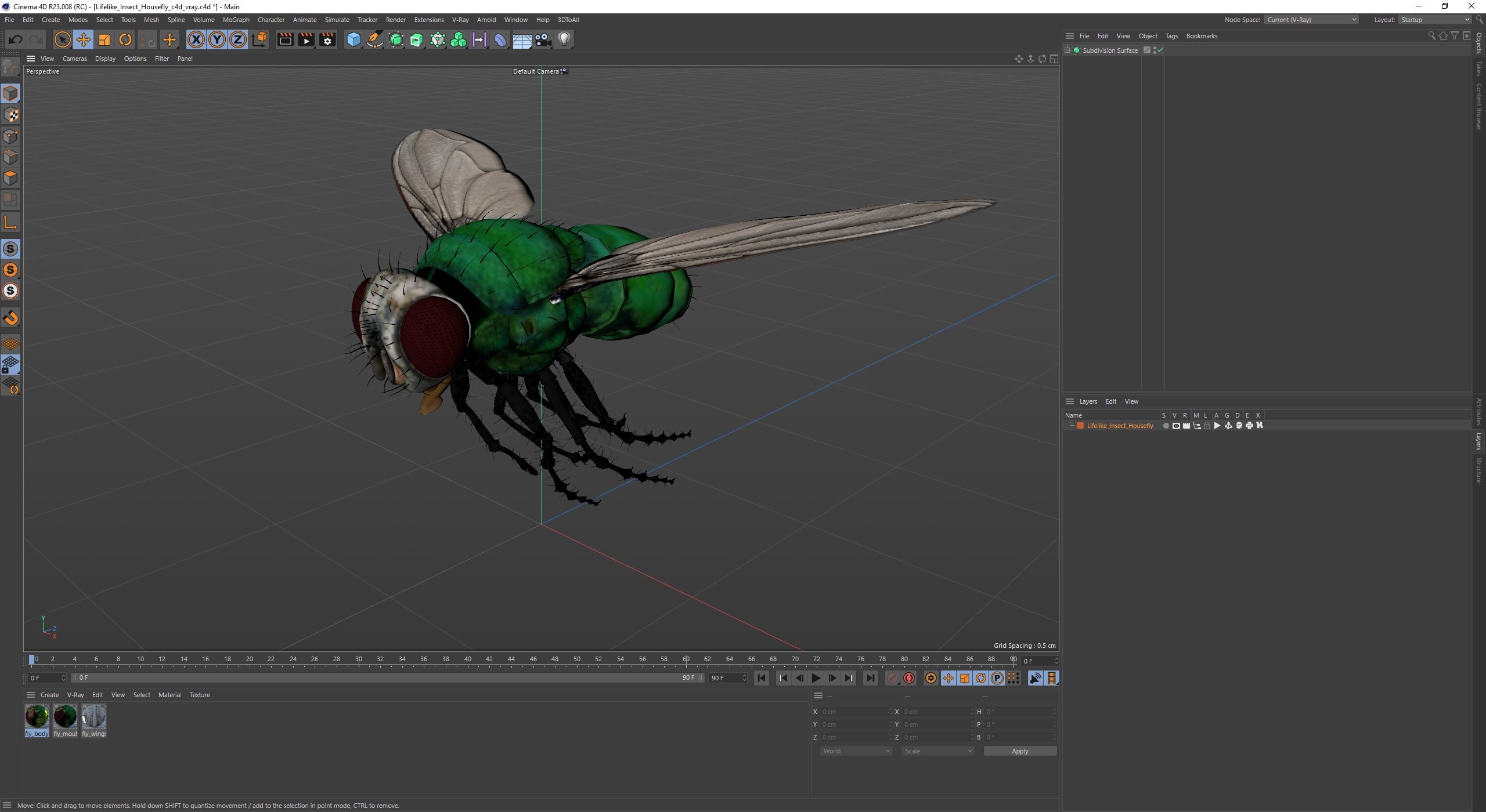 Lifelike Insect Housefly 3D model