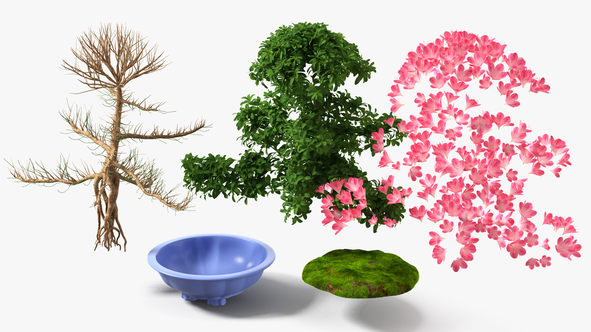 3D Green Bonsai Tree with Flowers in Pot Fur