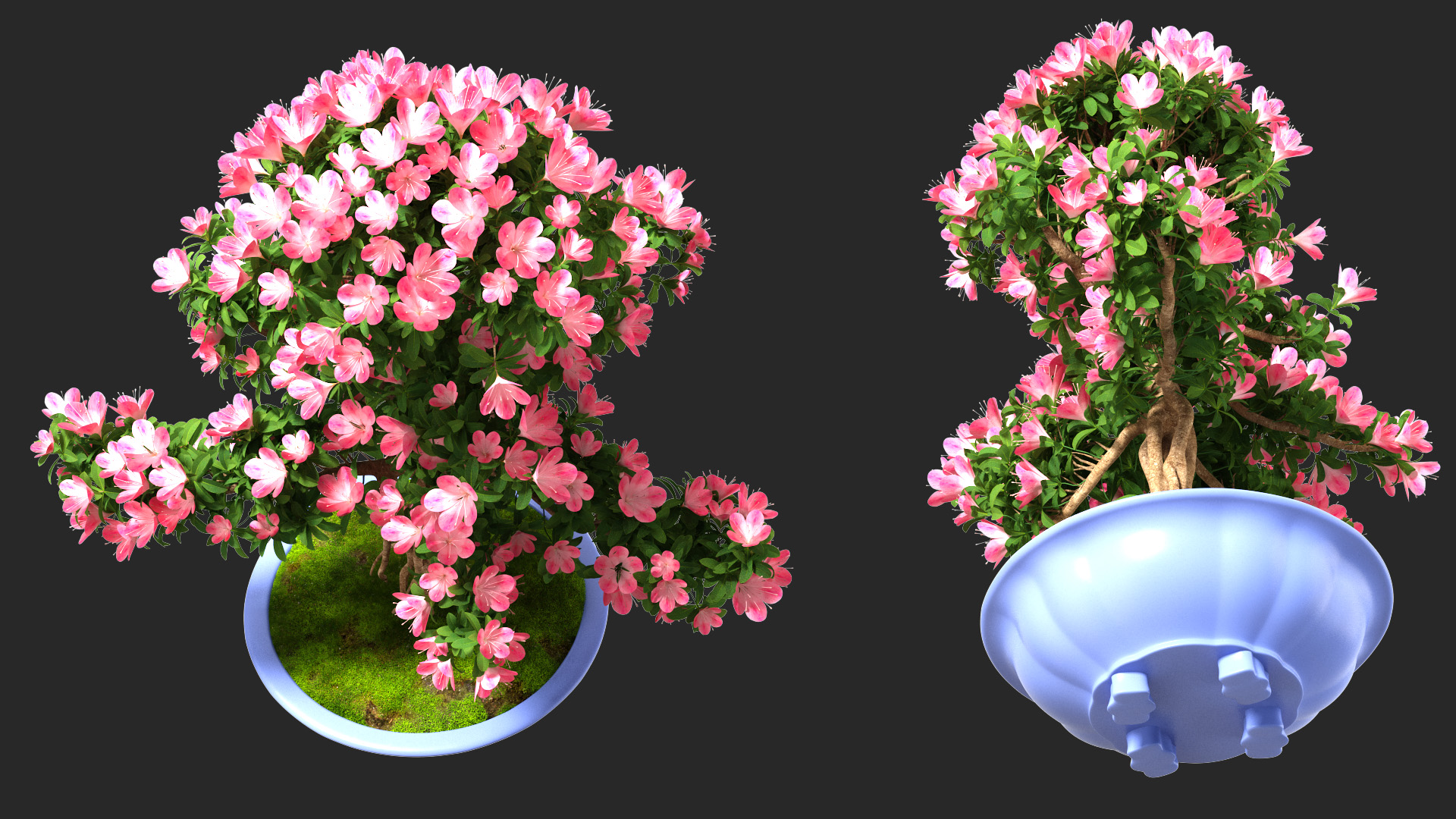 3D Green Bonsai Tree with Flowers in Pot Fur