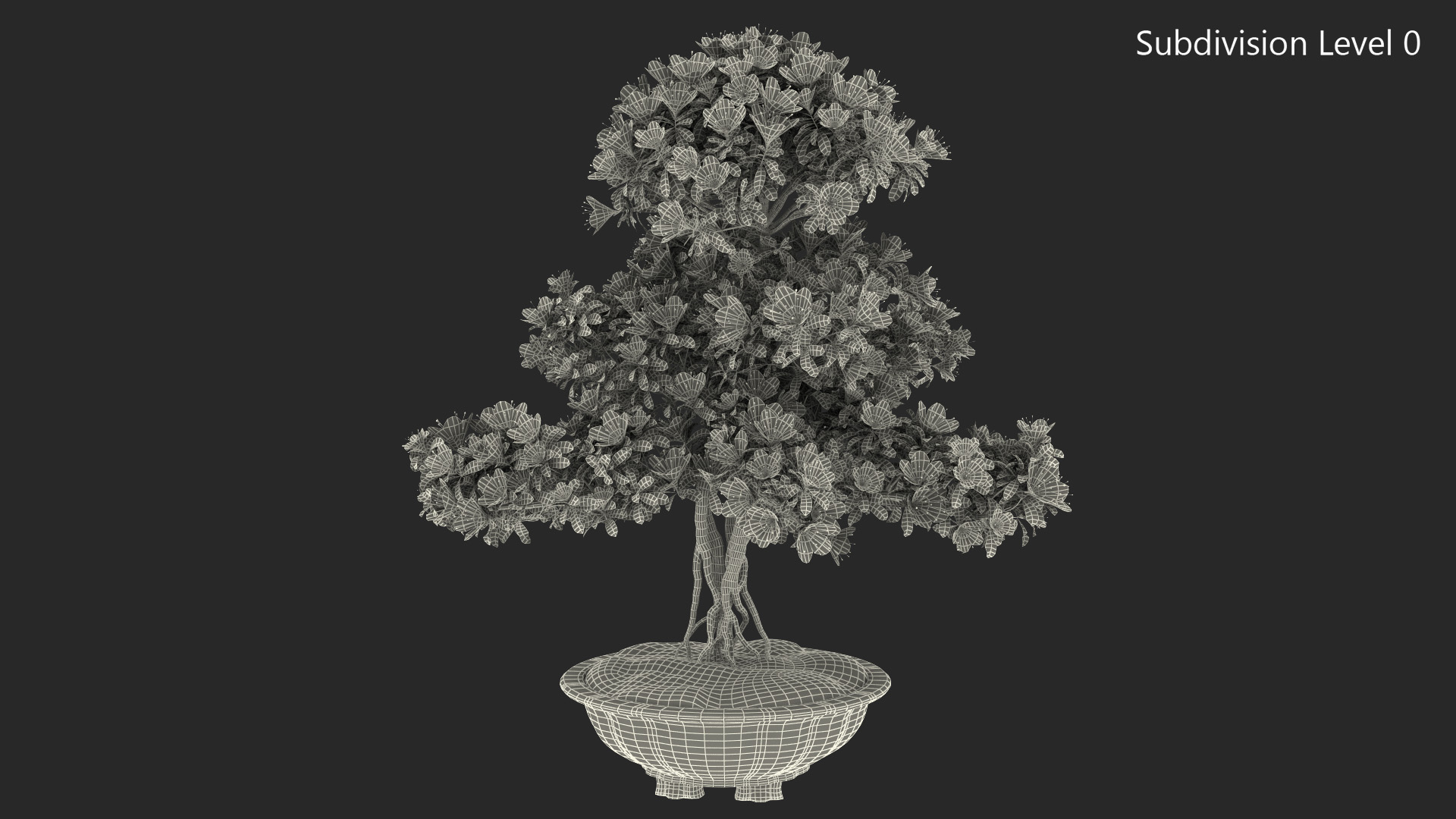 3D Green Bonsai Tree with Flowers in Pot Fur