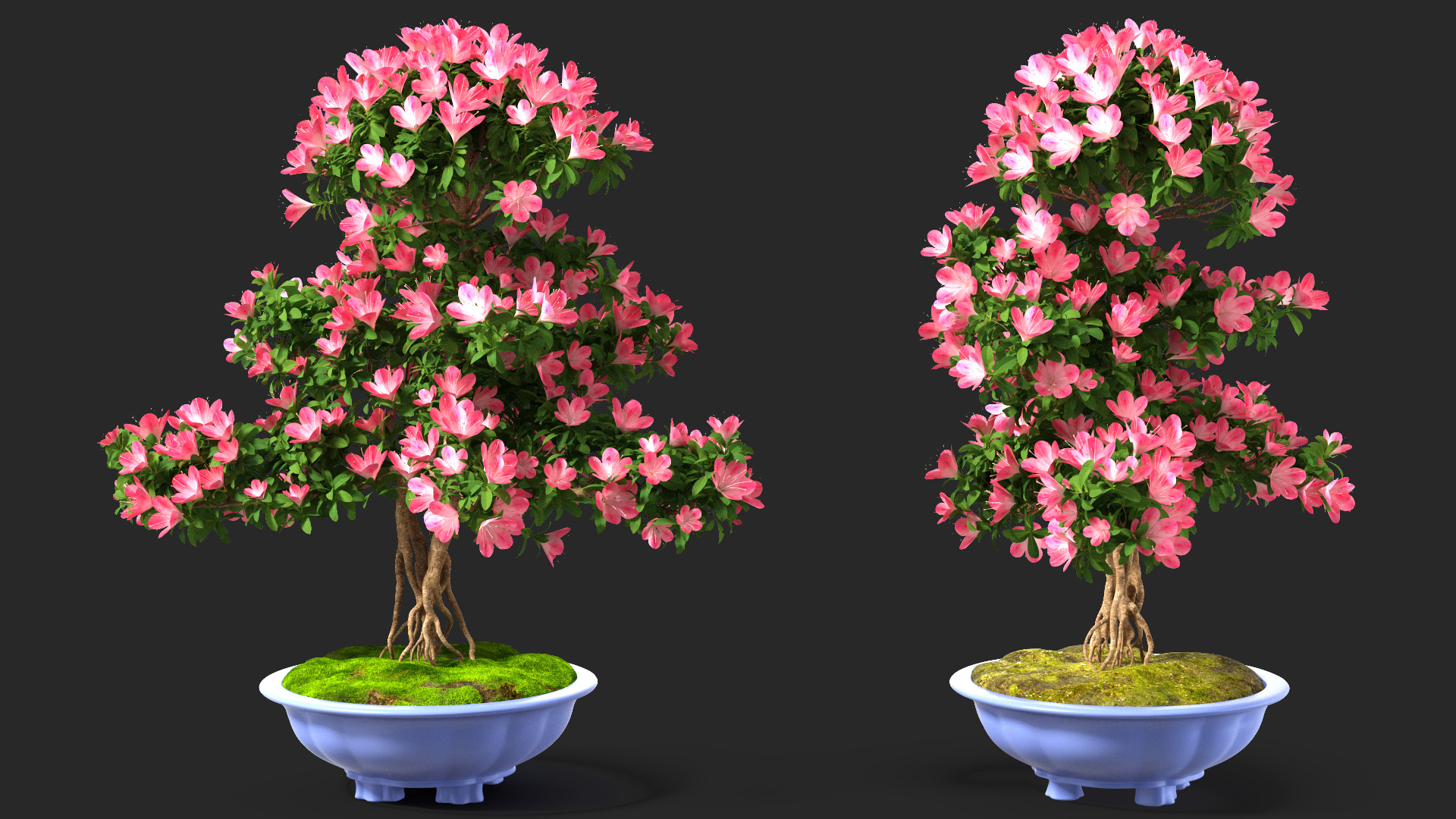 3D Green Bonsai Tree with Flowers in Pot Fur