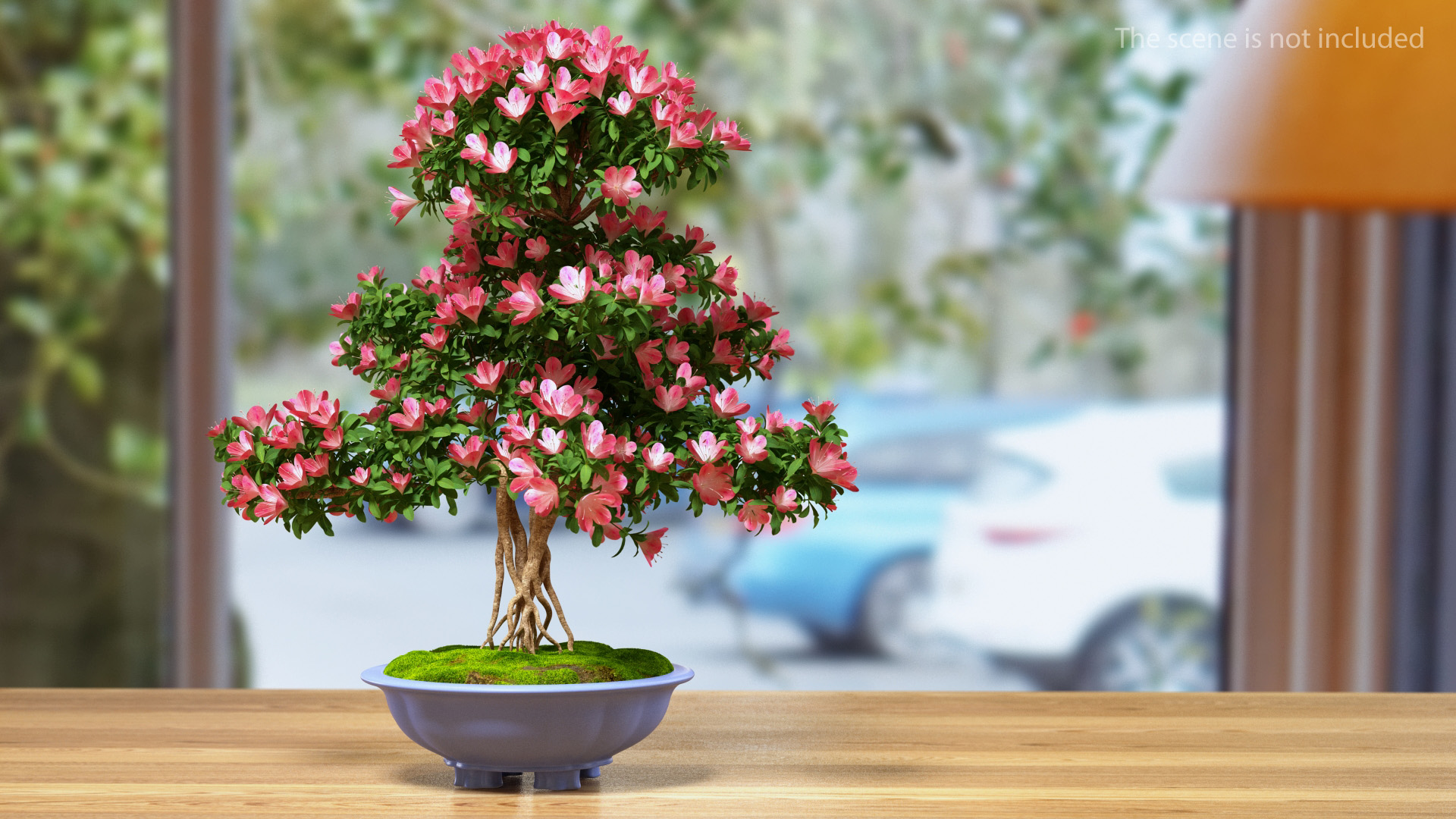 3D Green Bonsai Tree with Flowers in Pot Fur