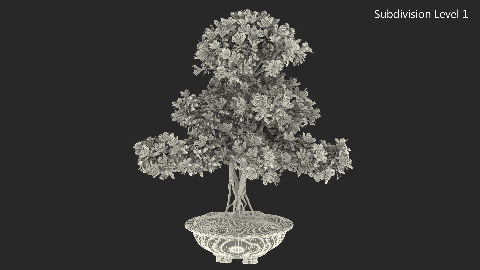 3D Green Bonsai Tree with Flowers in Pot Fur