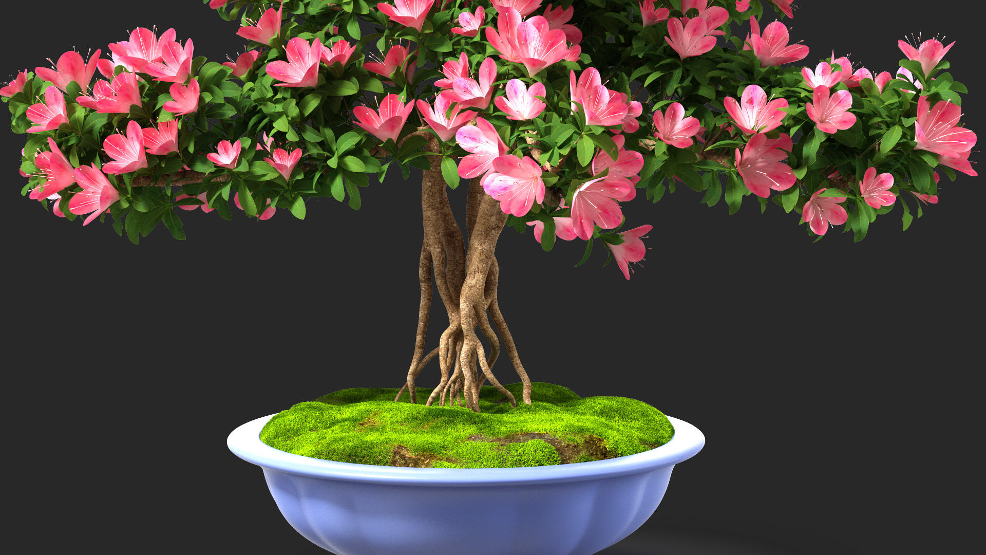 3D Green Bonsai Tree with Flowers in Pot Fur