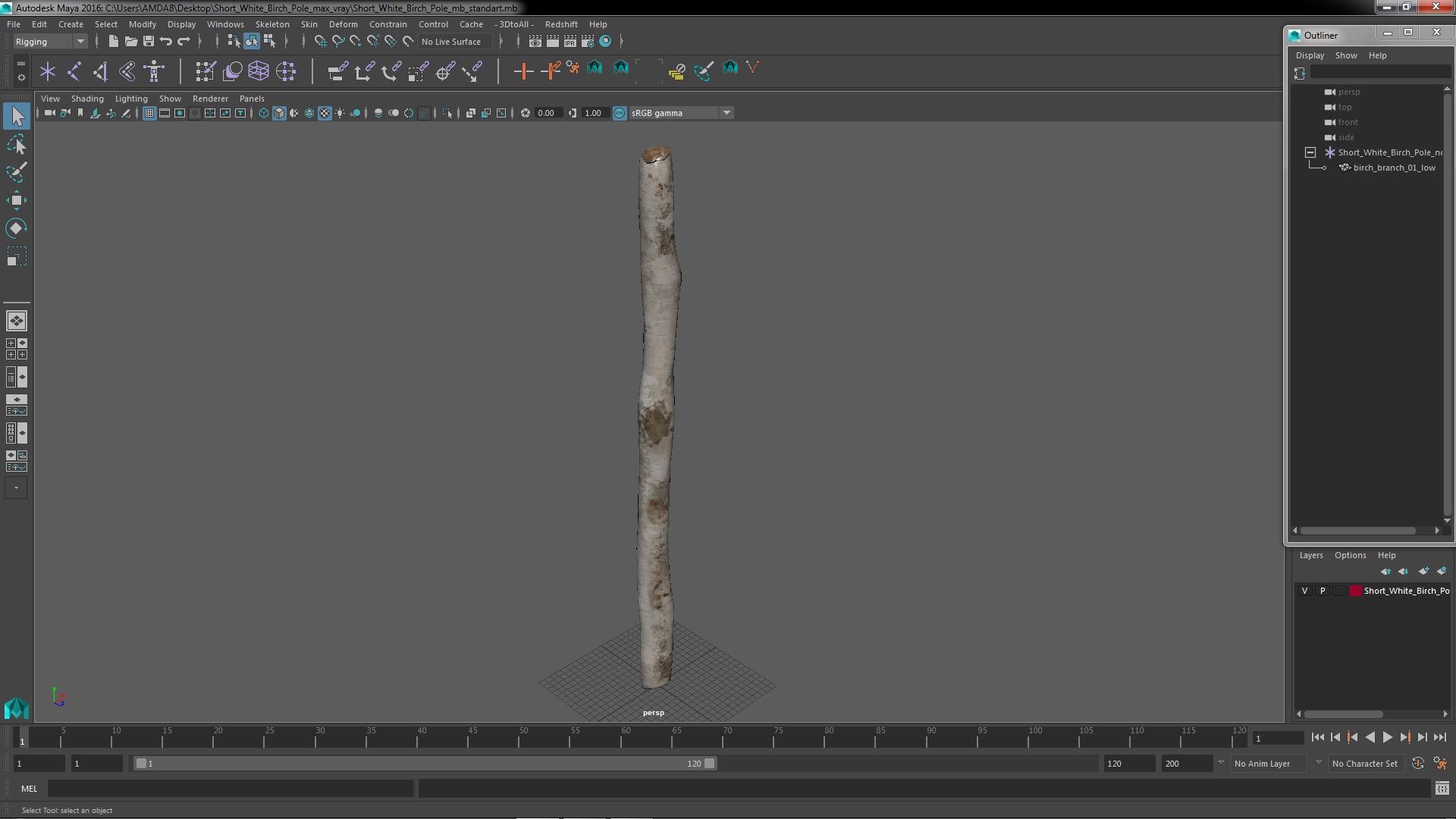 Short White Birch Pole 3D