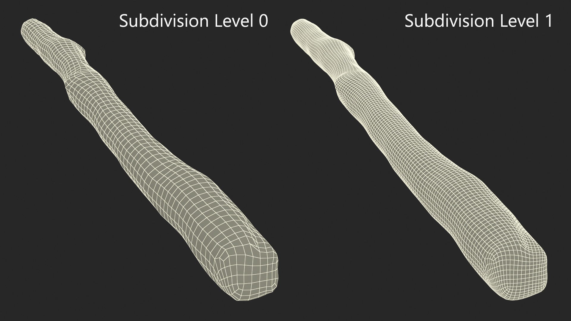 Short White Birch Pole 3D