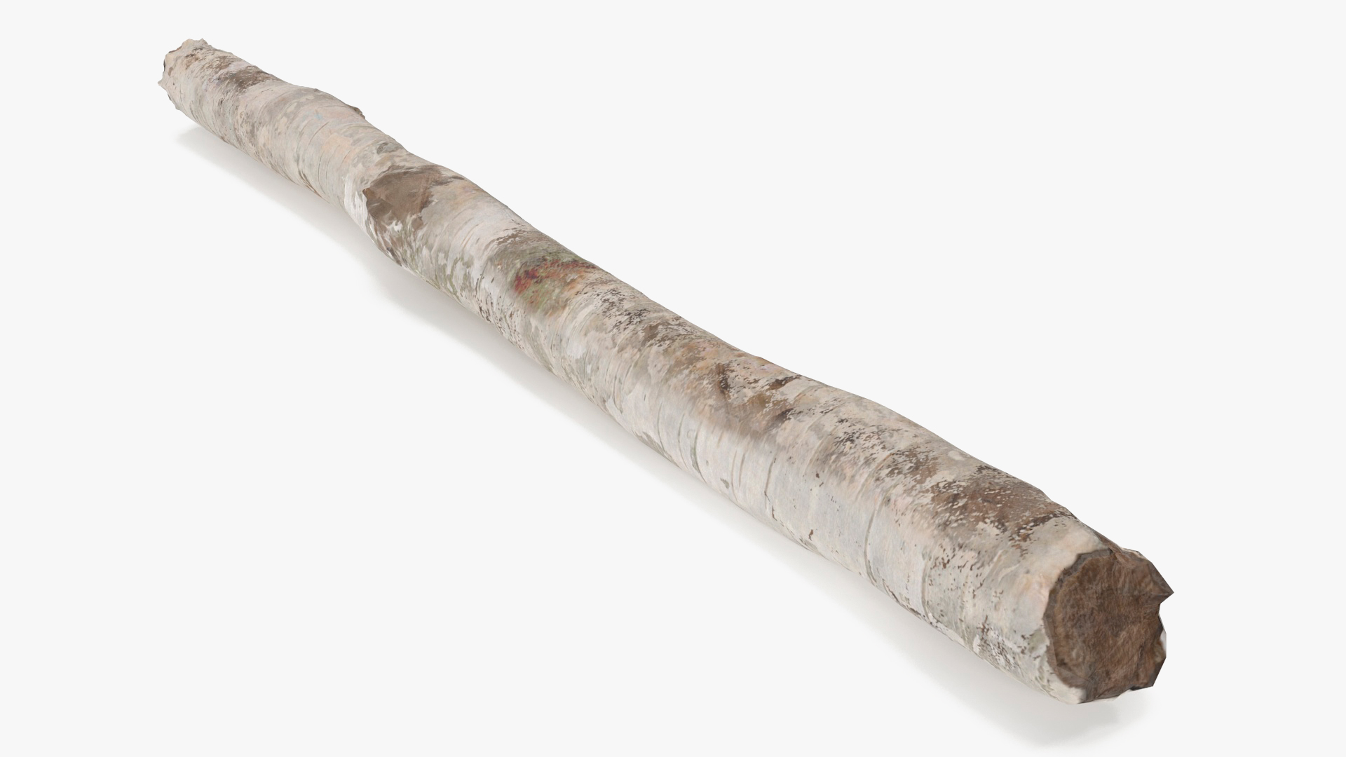 Short White Birch Pole 3D