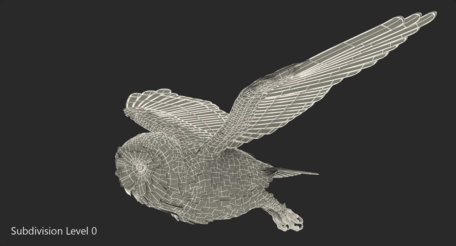 3D model Barn Owl Flying