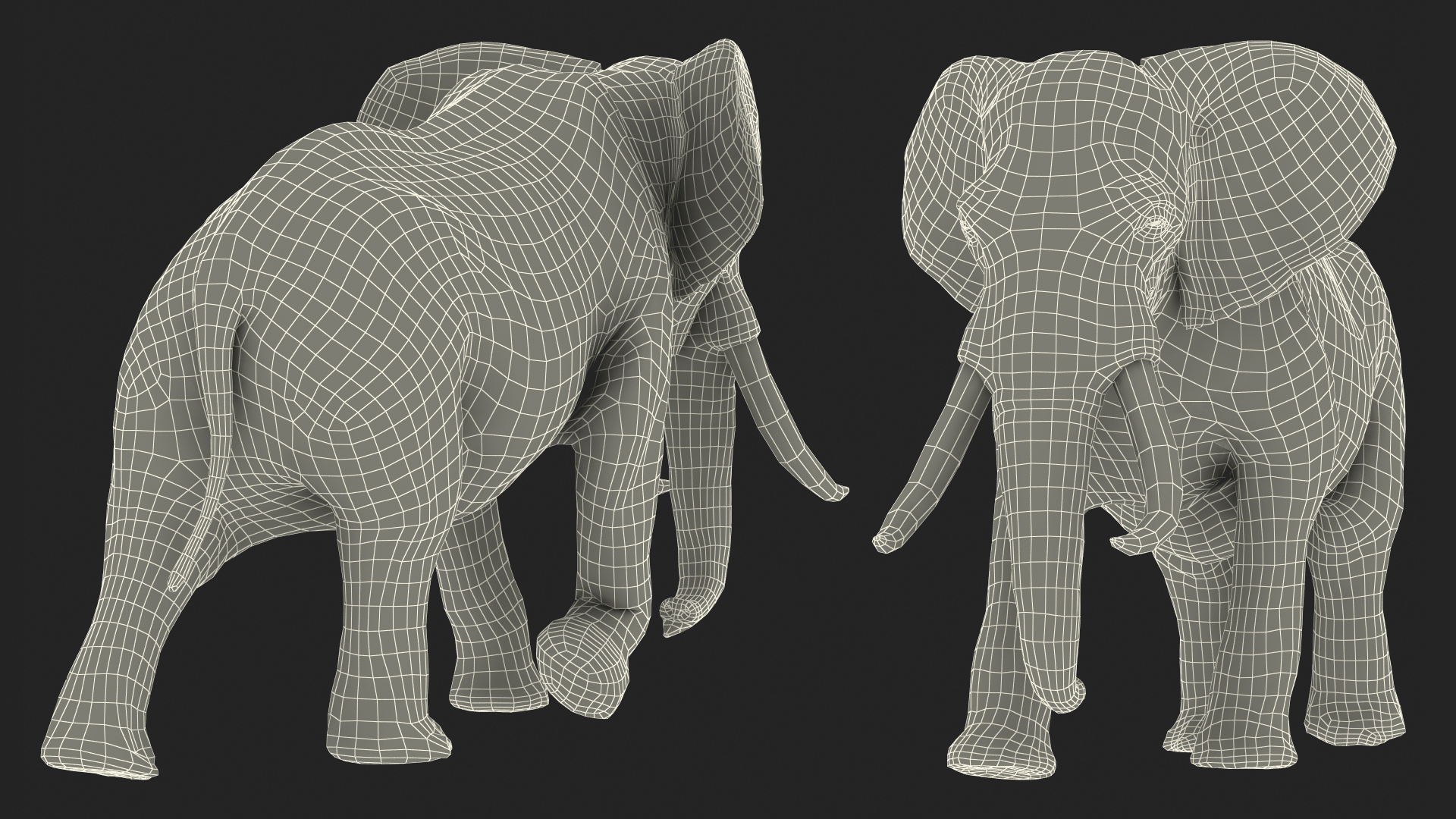 3D Animated Elephant Walking Fur Rigged