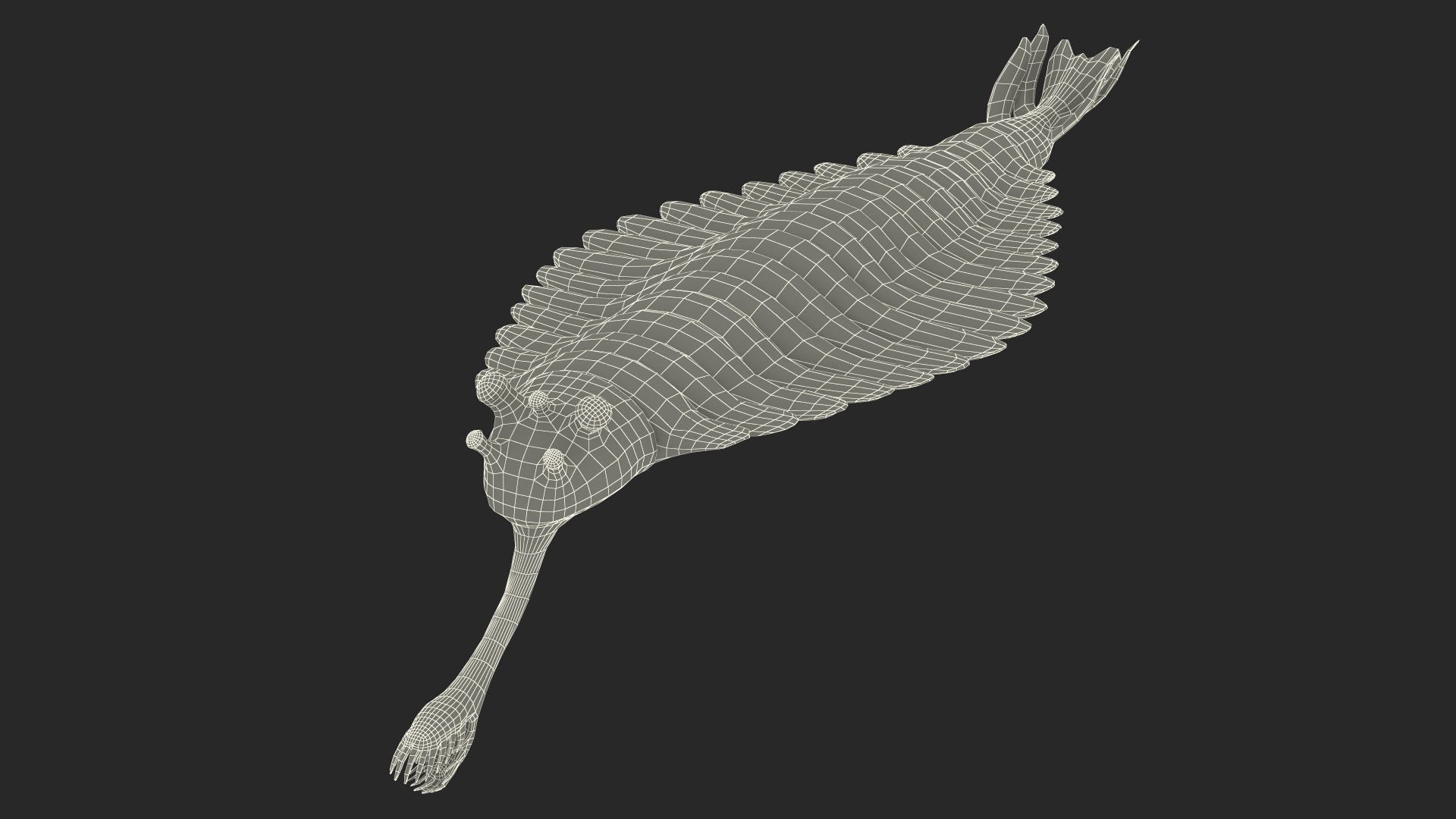 Green Opabinia 3D model