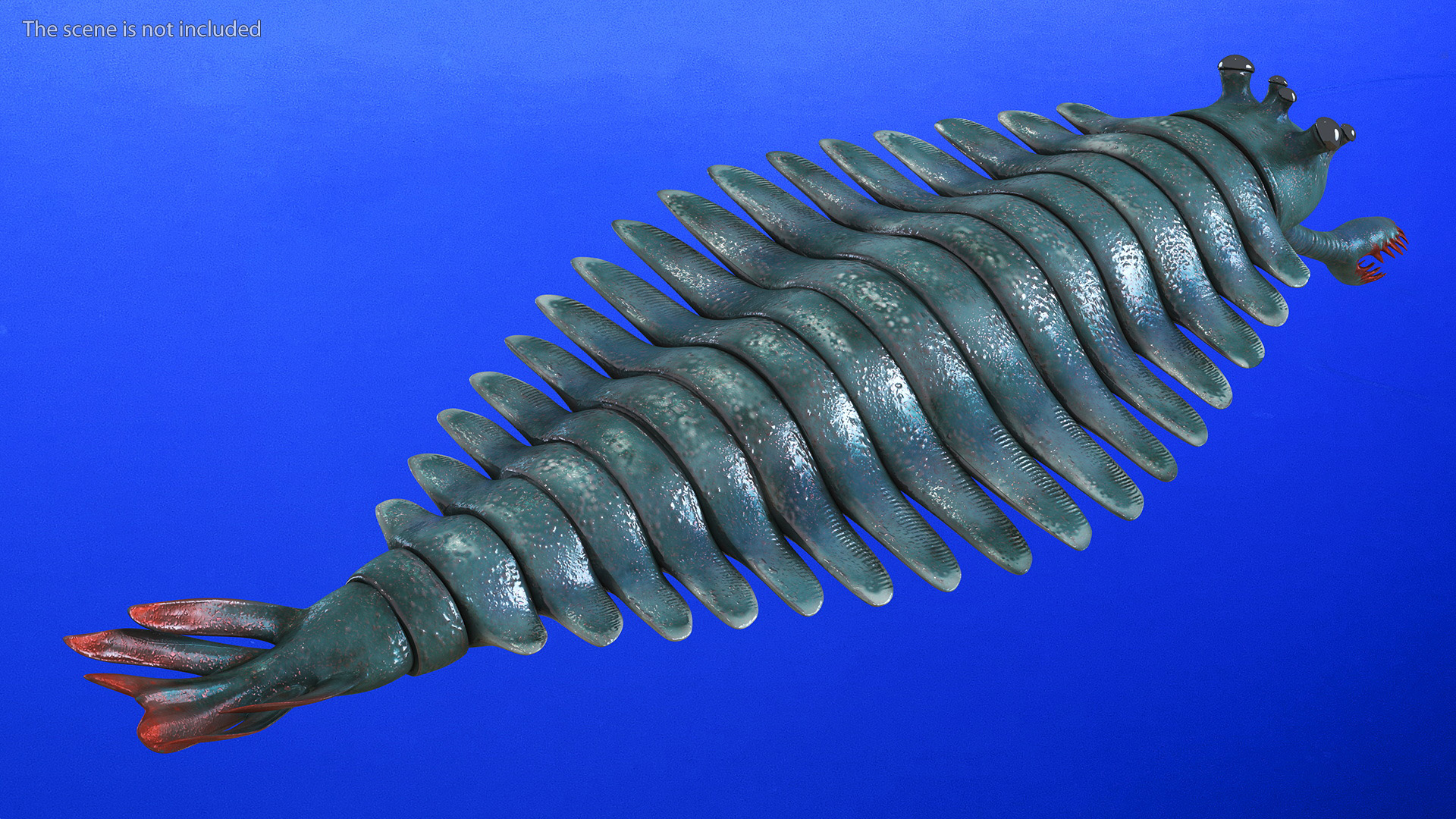 Green Opabinia 3D model