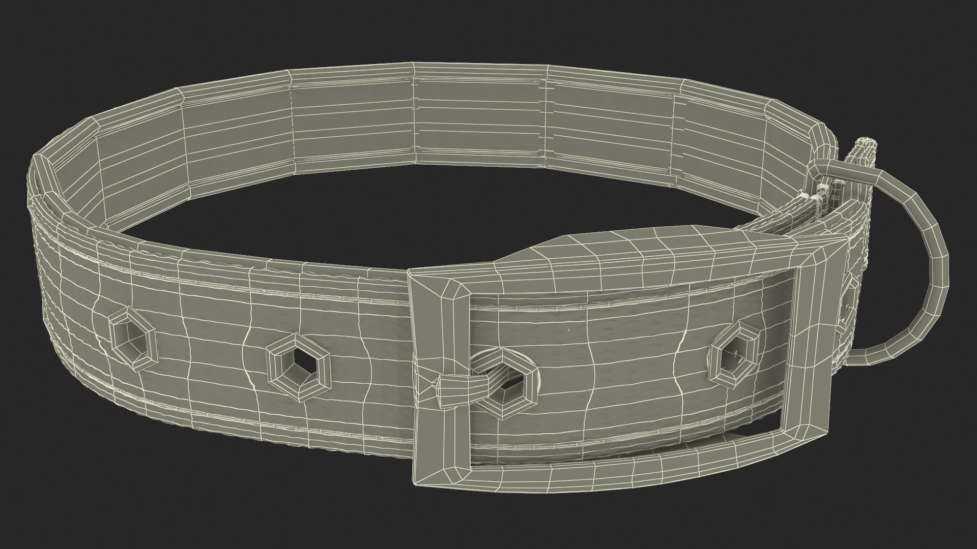 Pet Collar with Buckle 3D