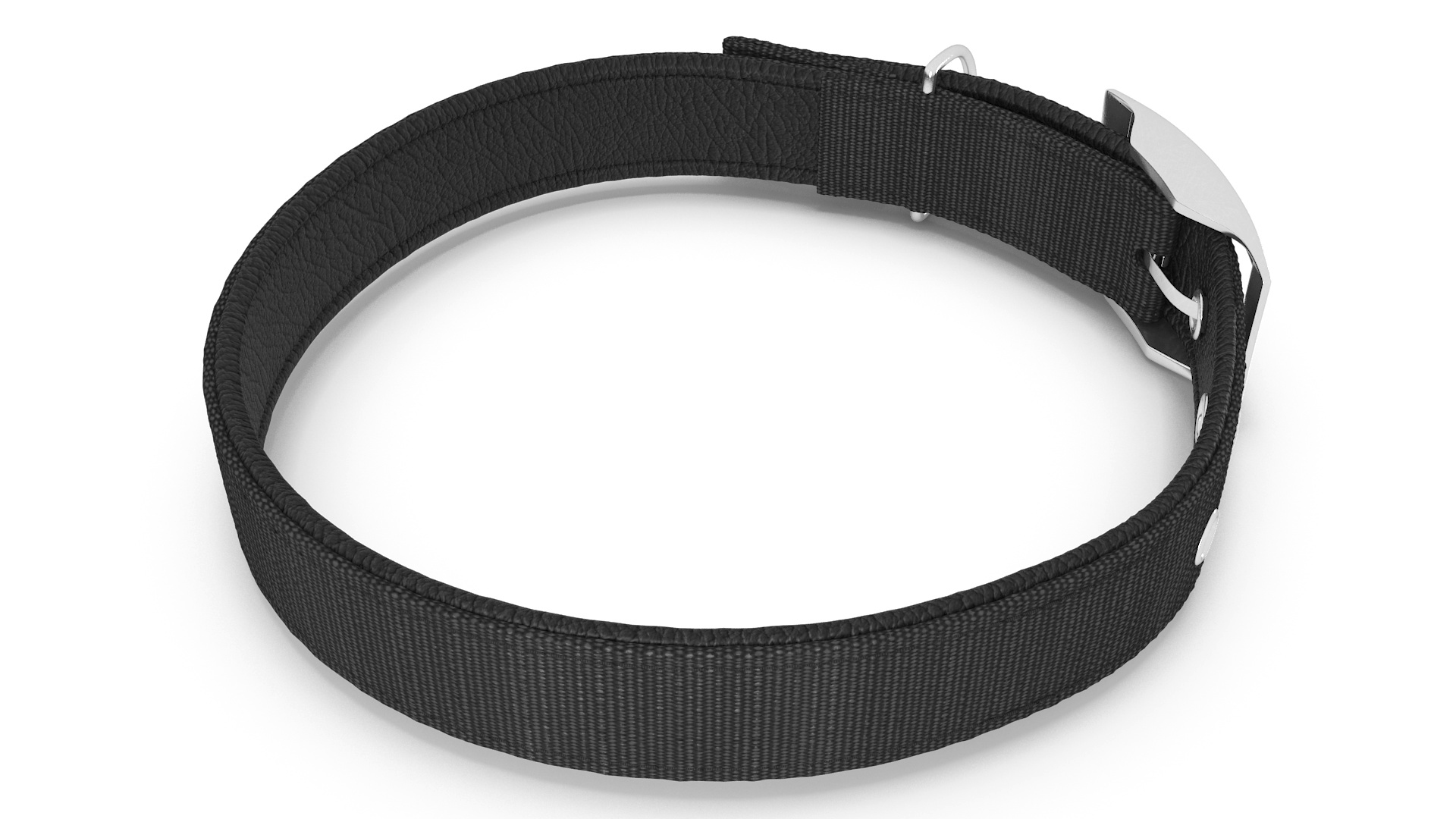 Pet Collar with Buckle 3D