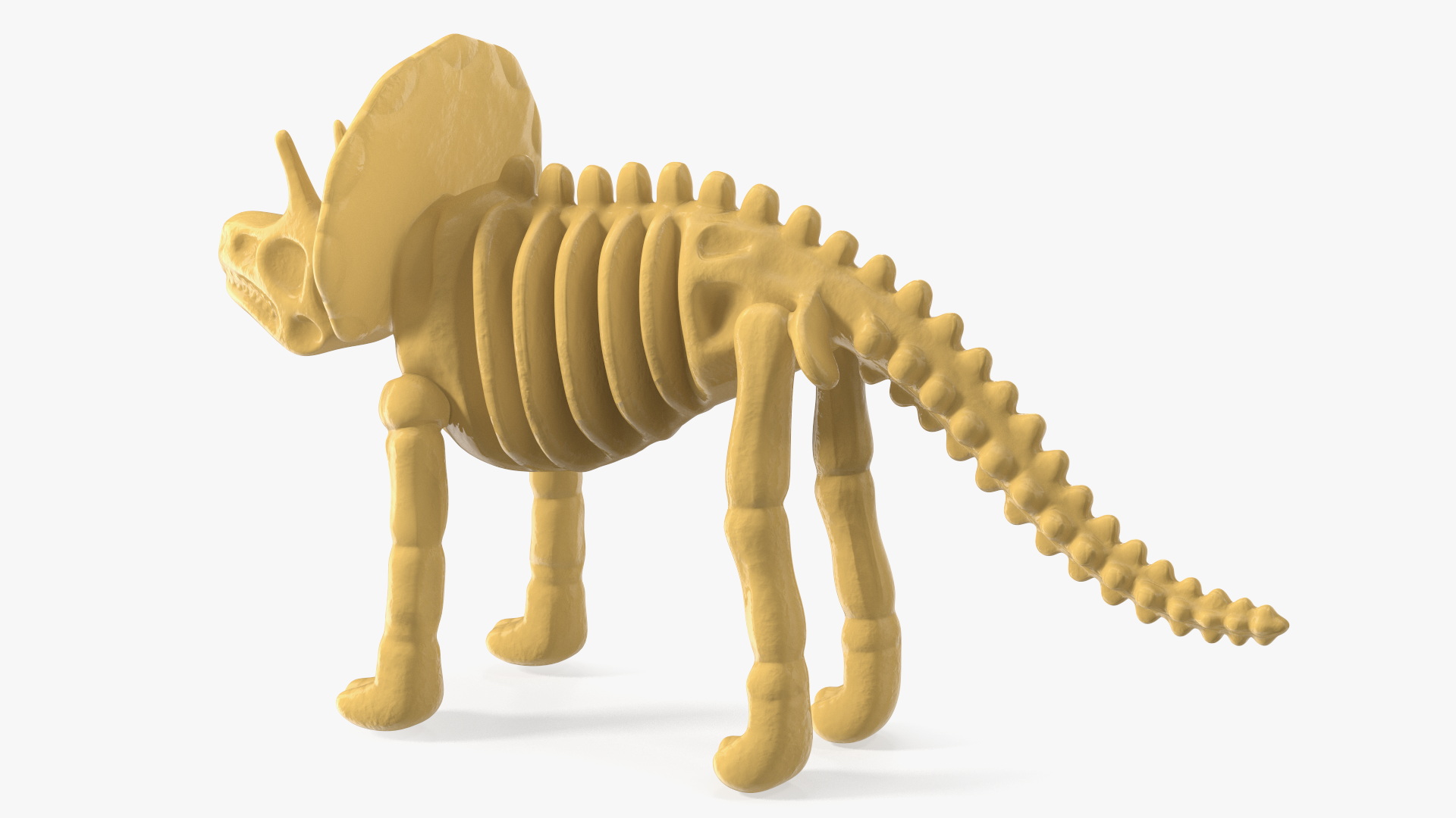 3D Triceratops Dinosaur Skeleton Toy model