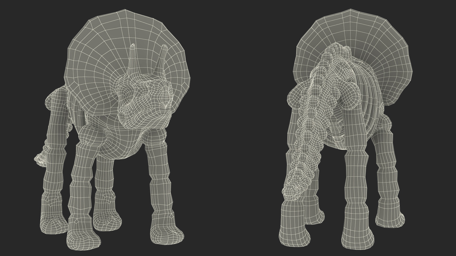 3D Triceratops Dinosaur Skeleton Toy model