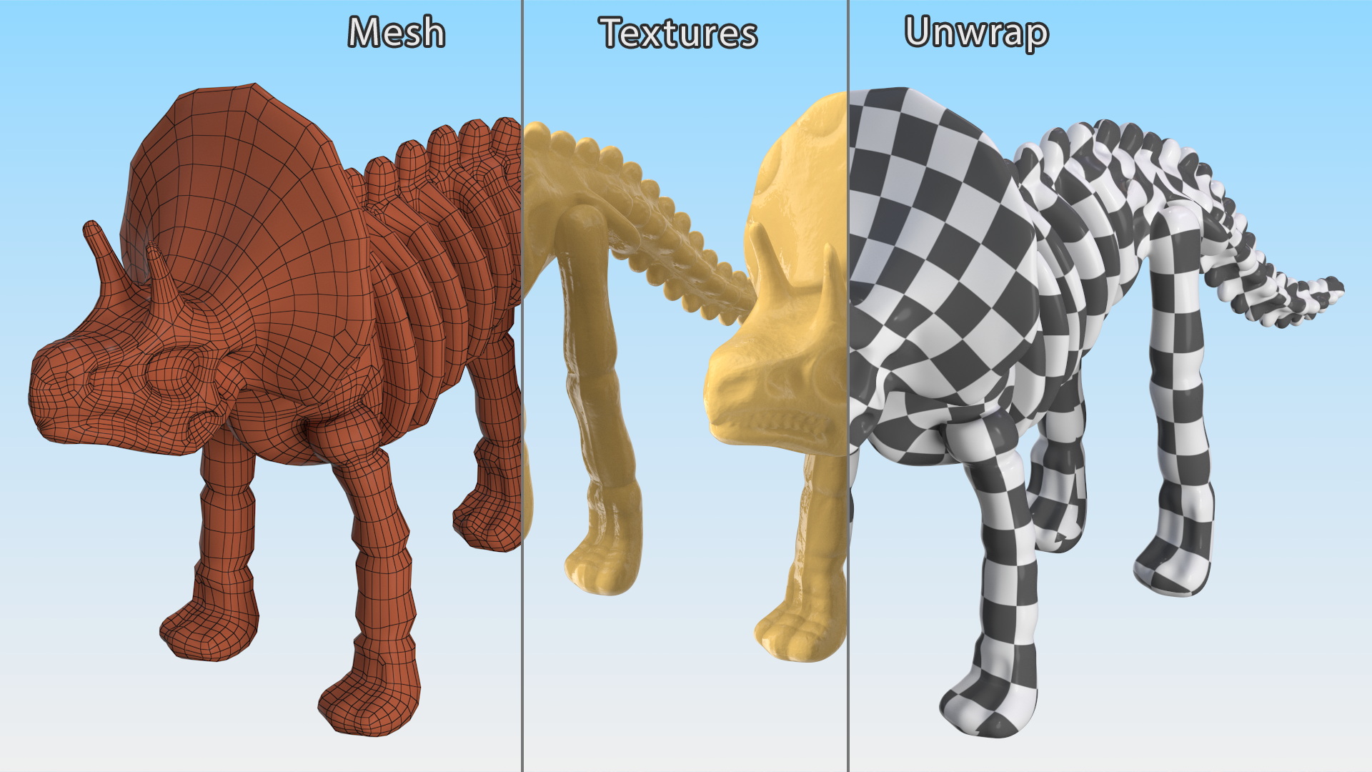 3D Triceratops Dinosaur Skeleton Toy model