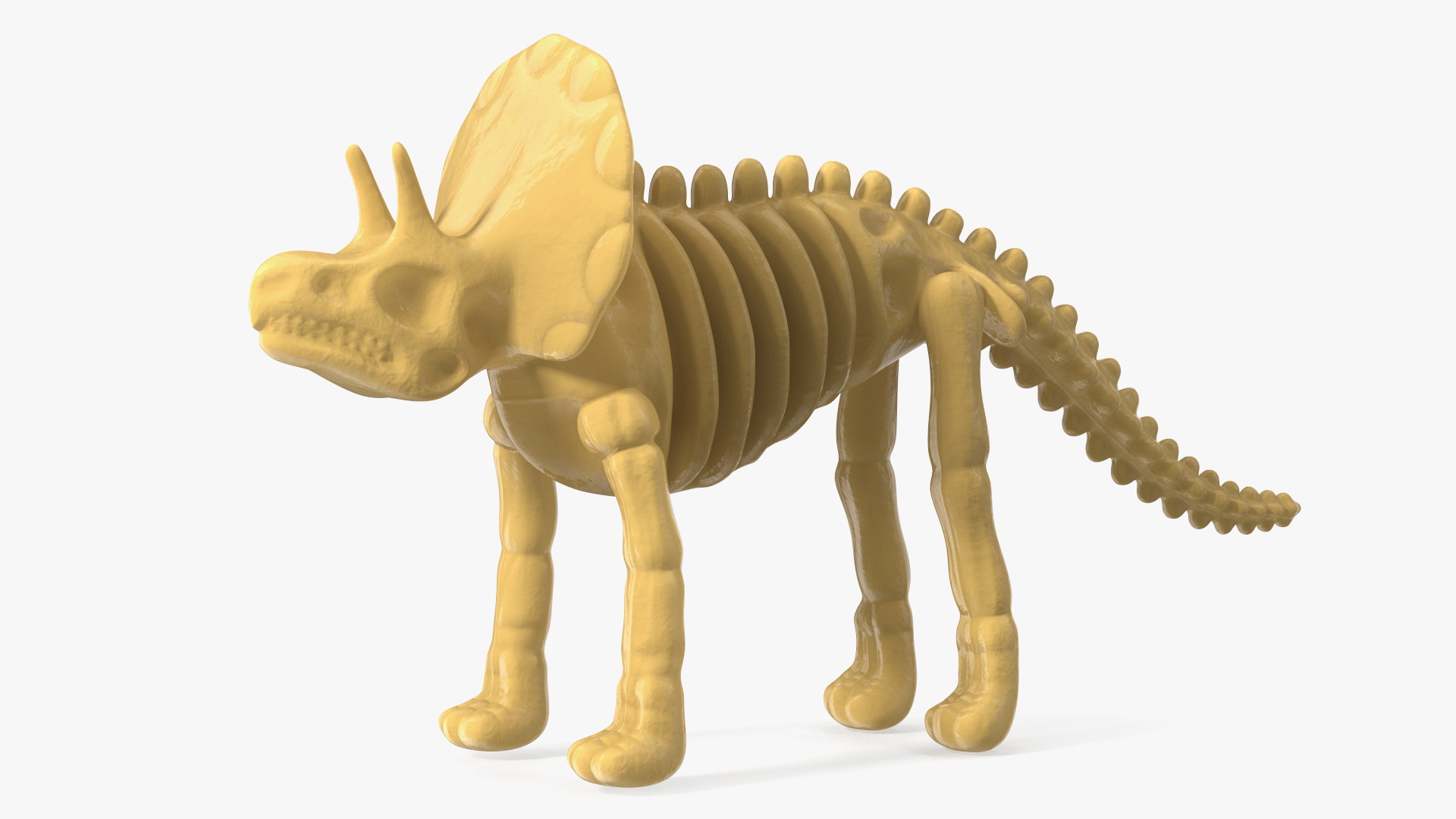 3D Triceratops Dinosaur Skeleton Toy model