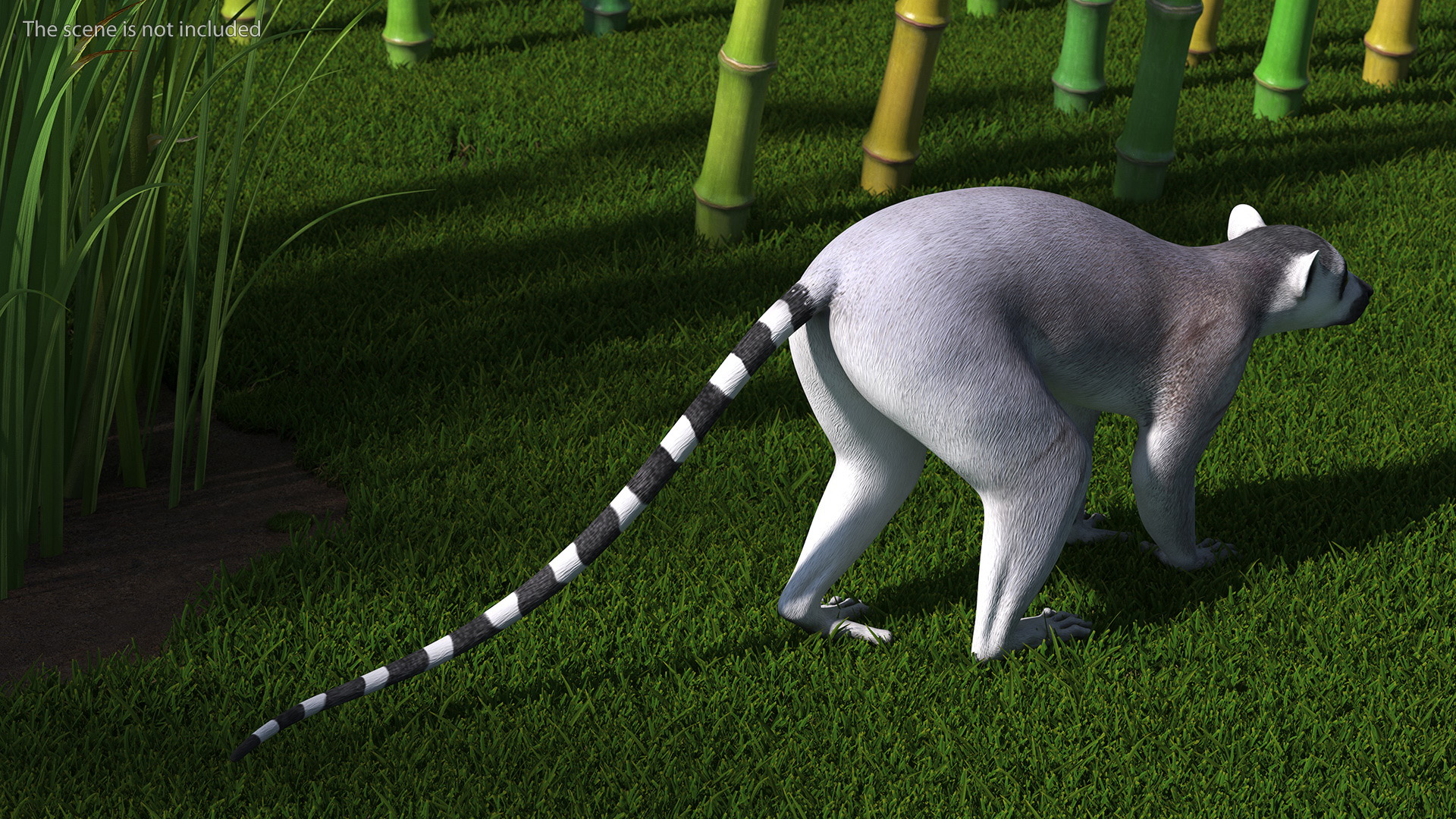 3D Grey Lemur Walking model