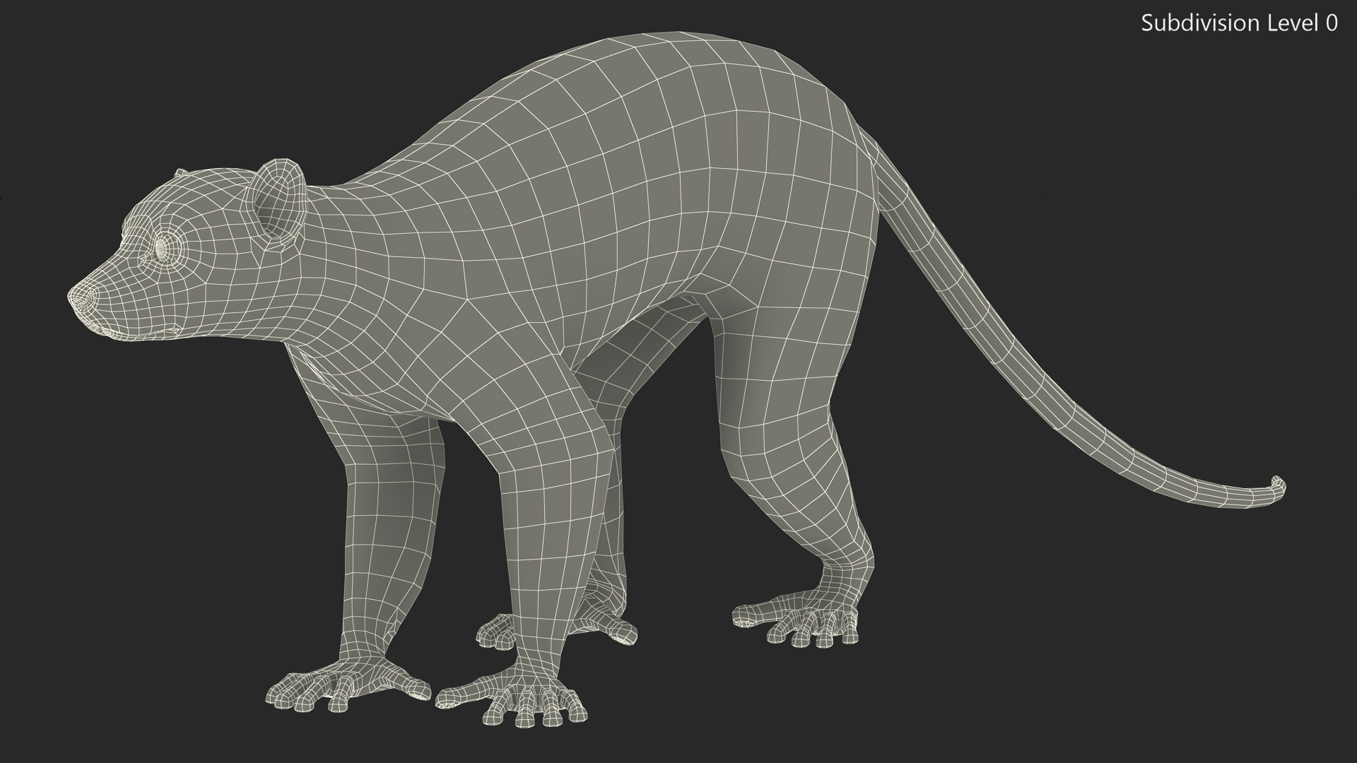 3D Grey Lemur Walking model