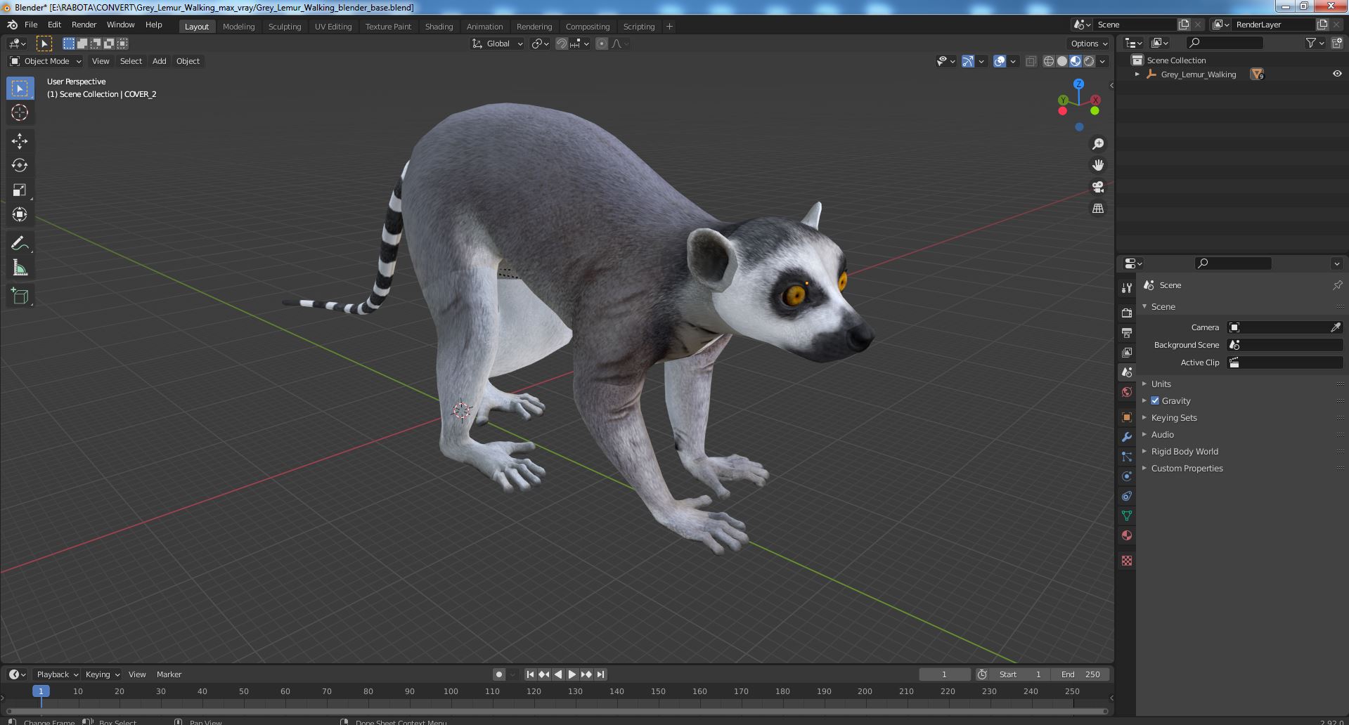 3D Grey Lemur Walking model