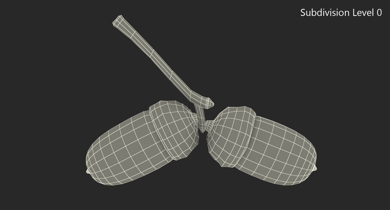 3D model Two Acorns on Branch