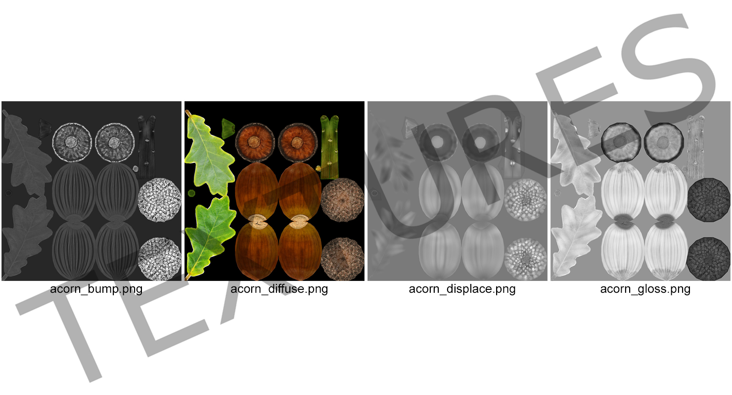 3D model Two Acorns on Branch